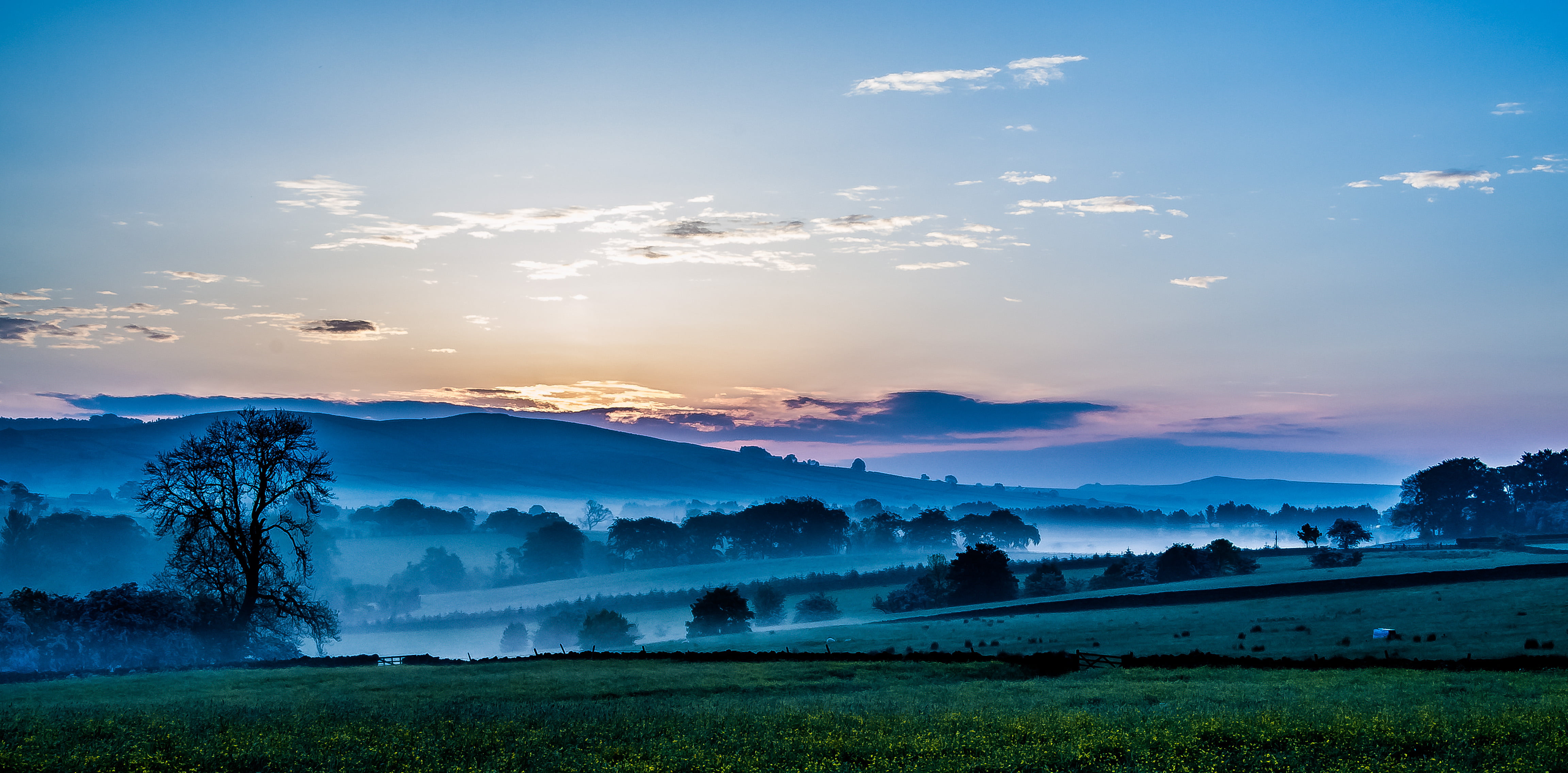 forest, panaroma, lens, cover, fog, fogs, landscape, countryside, golden, 4K, local, sunset, mist, rural Scene, photo, nikon d3100, meadow, sunrise, nikkor, HD Wallpaper
