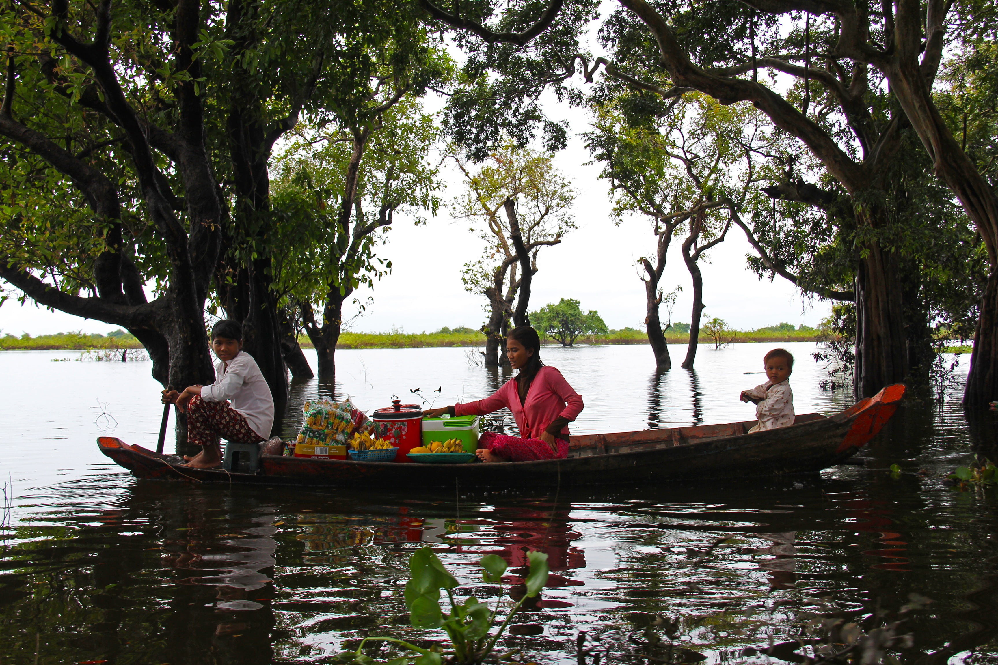 transportation, kompong, cambodia, season, travel, group of people, floating forest, beautiful, tree, forest, floating, trees, people, real people, day, HD Wallpaper