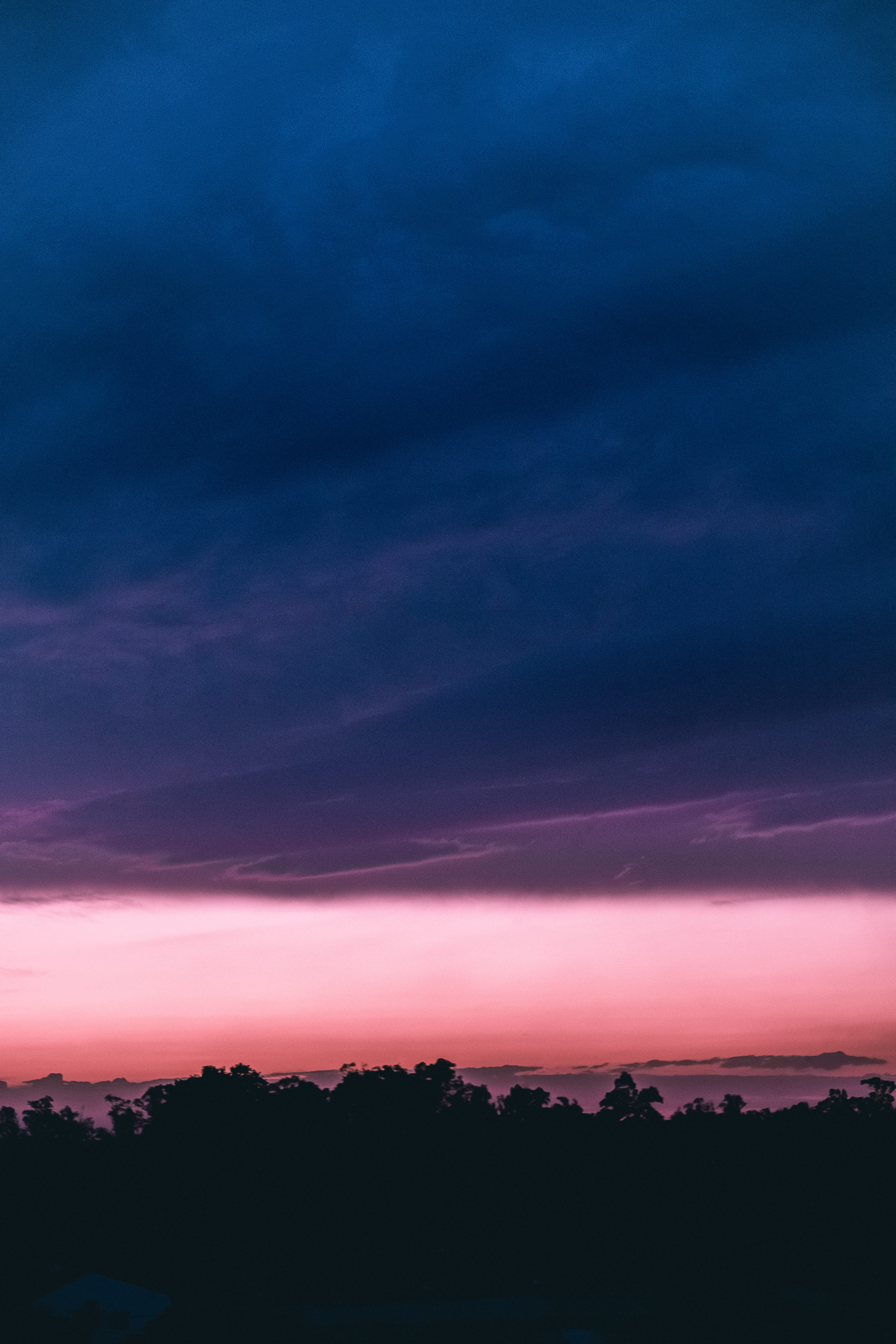 environment, dawn, plant, red sky, buenos aires, purple, storm, tree, black, cloud, architecture, tranquil scene, la reja, 5K, romantic sky, outdoors, Phone HD Wallpaper