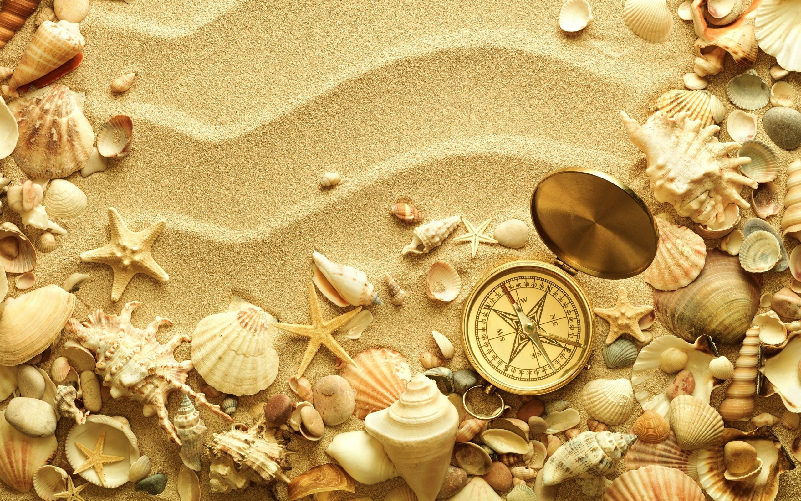 gold, compass, colored, 2K, bokeh, beach, shell, travel, sand, HD Wallpaper