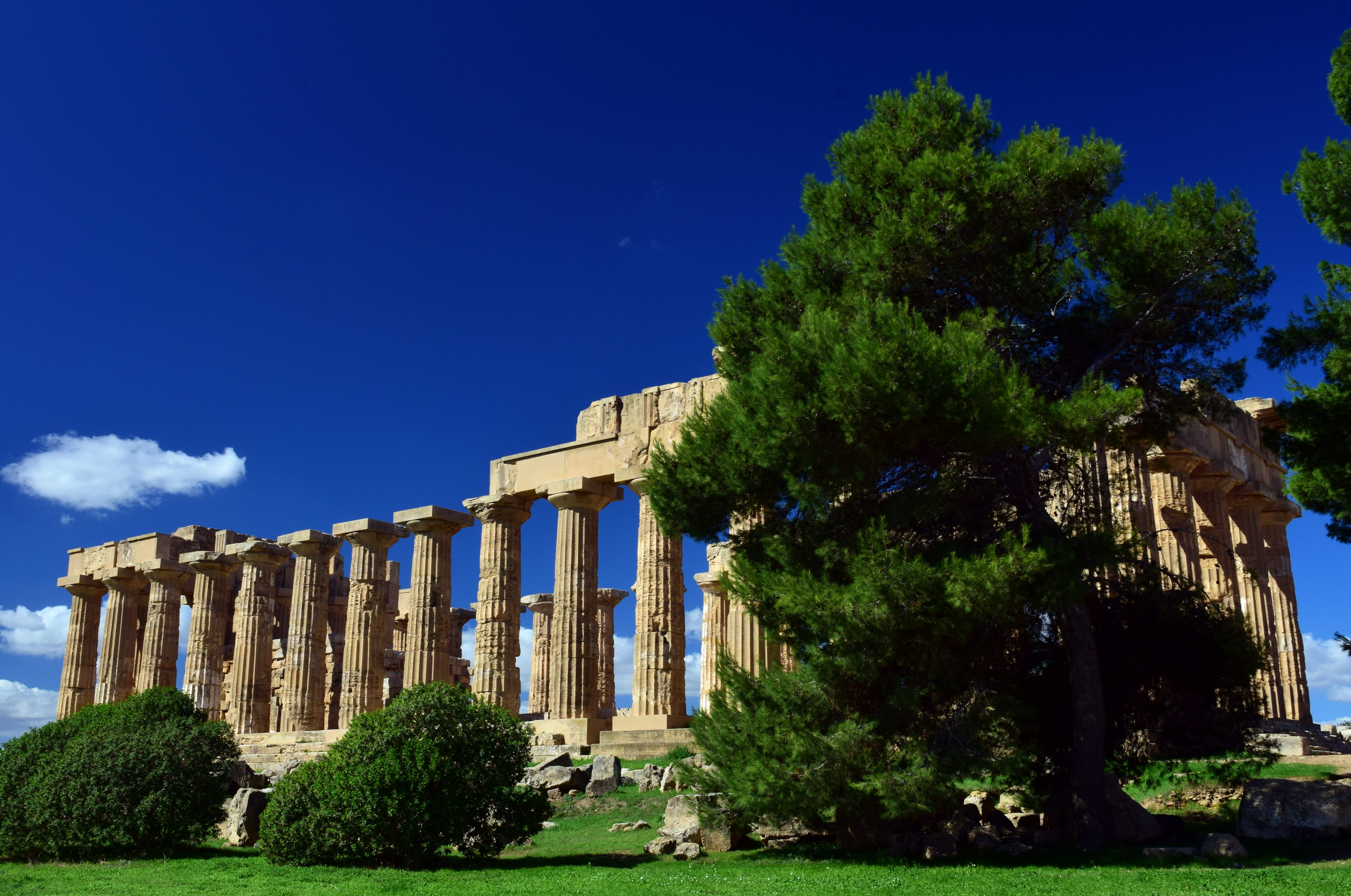 pillar, ancient civilization, selinunte, leave, site, weathered, 5K, day, places of interest, transience, travel, outdoors, greece, partenon, clear sky, HD Wallpaper