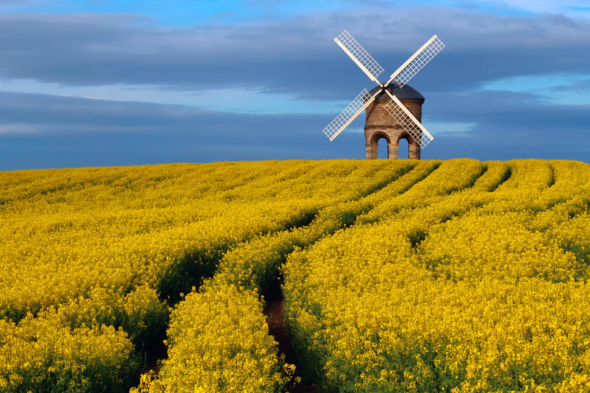 spring, windmill, the sky, rape, field, 1080P, Warwickshire, UK, Chesterton Windmill, County, monument, April, HD Wallpaper