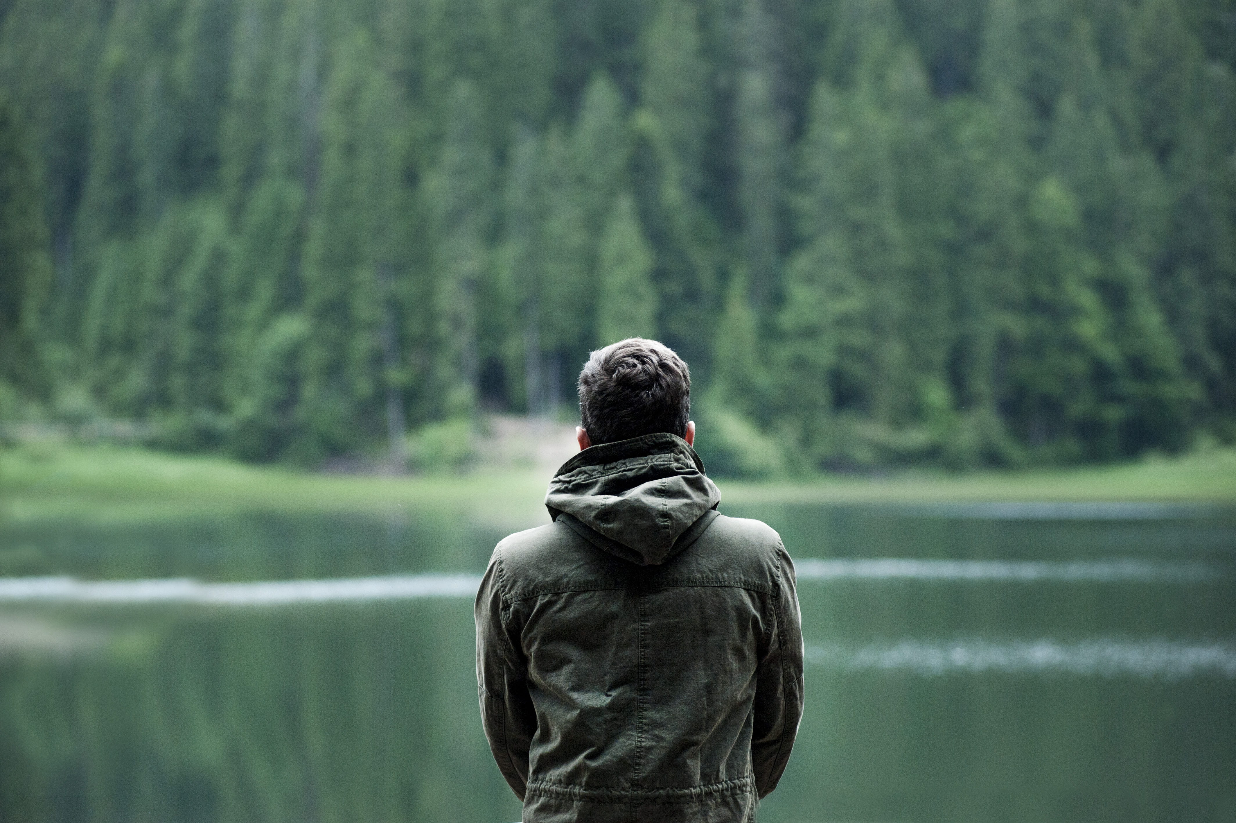 young man, jacket, lake, men, focus, day, relaxation, land, landscape, trees, silence, water, wearing, idyllic, blur, body, nature, park, man, looking at view, HD Wallpaper