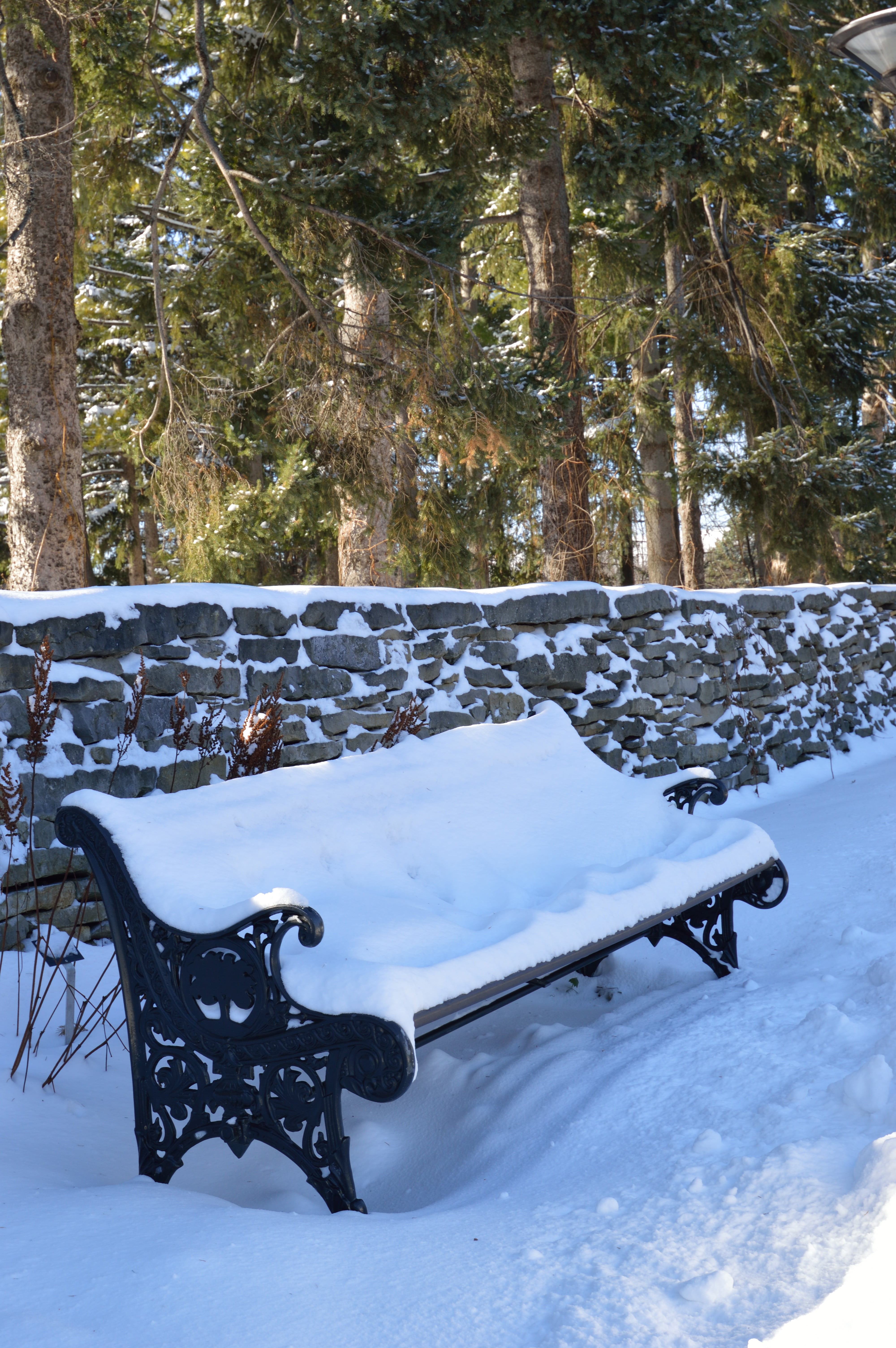 flake, quiet, solitude, trunk, land, tree, february, loneliness, park bench, covering, snowscape, chill, lone, outdoor, tree trunk, cold temperature, field, Phone HD Wallpaper