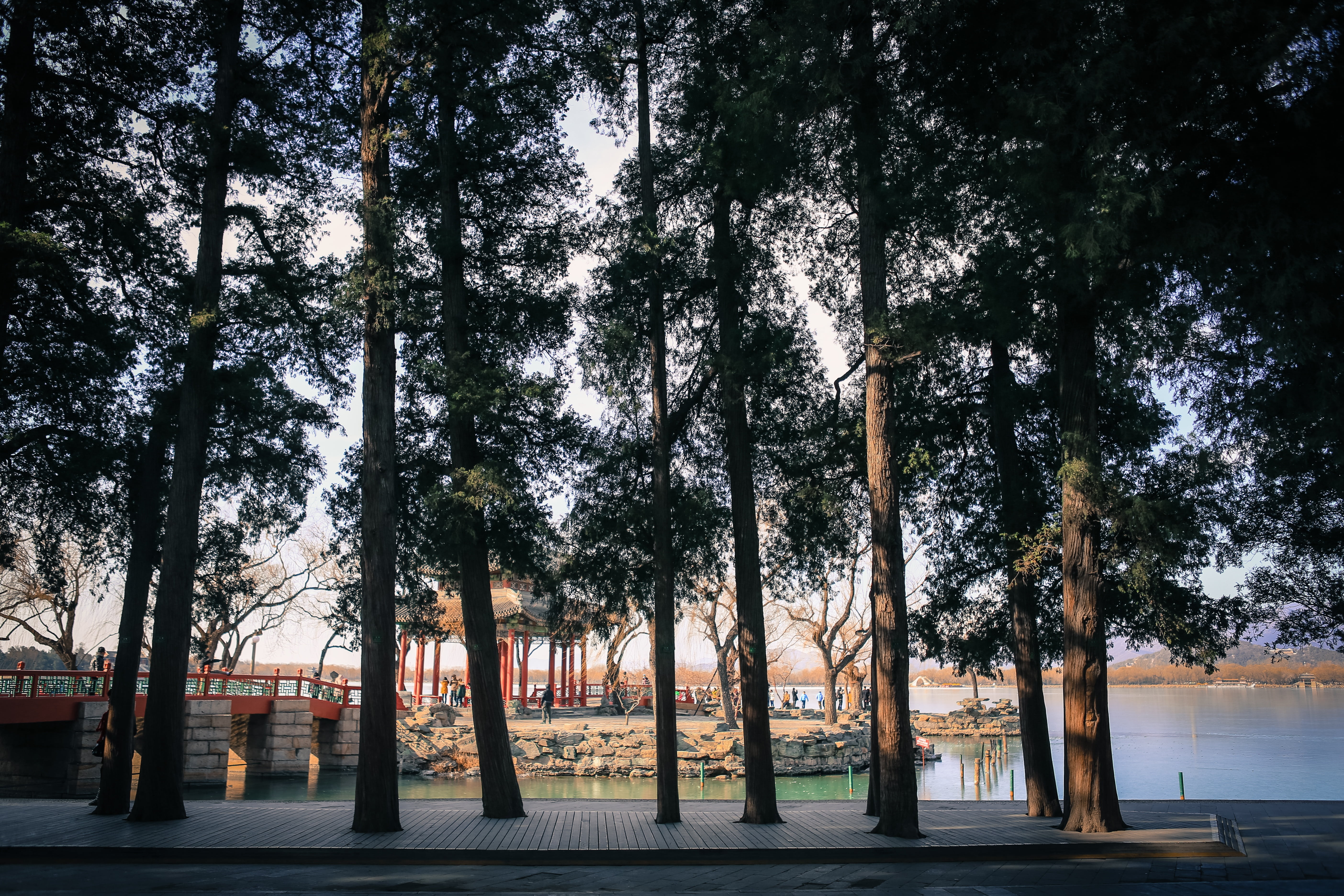 summer, transportation, footpath, pavilion, history, pekin, trunk, tranquility, nature, beauty in nature, outdoors, park - man made space, plant, treelined, HD Wallpaper