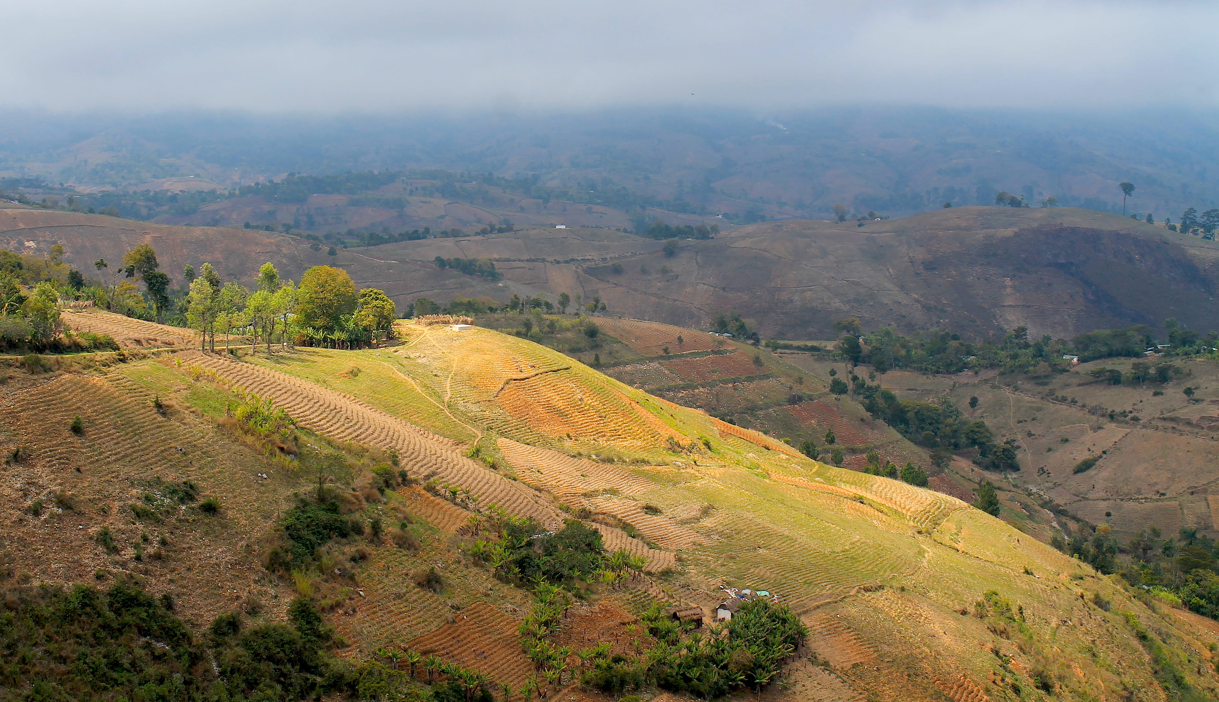 haiti, idyllic, land, growth, 4K, mountain, sunlight, agriculture, day, rolling landscape, environment, green color, nature, farm, no people, plant, non-urban scene, HD Wallpaper