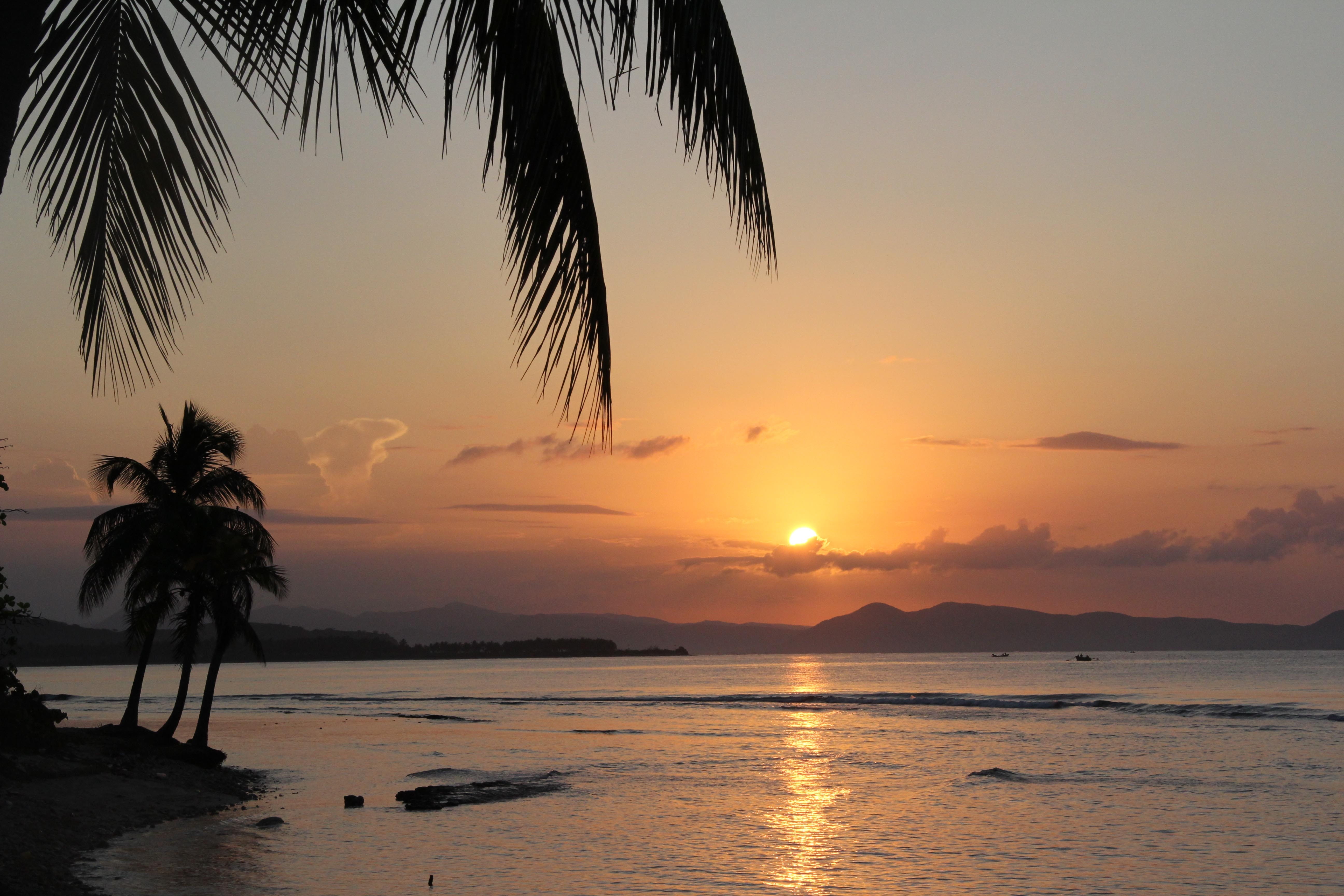 tropical climate, orange color, caribbean, haiti, palm leaf, beach, silhouette, coconut palm tree, dawn, sunrise, idyllic, horizon over water, sunset, vacation, HD Wallpaper