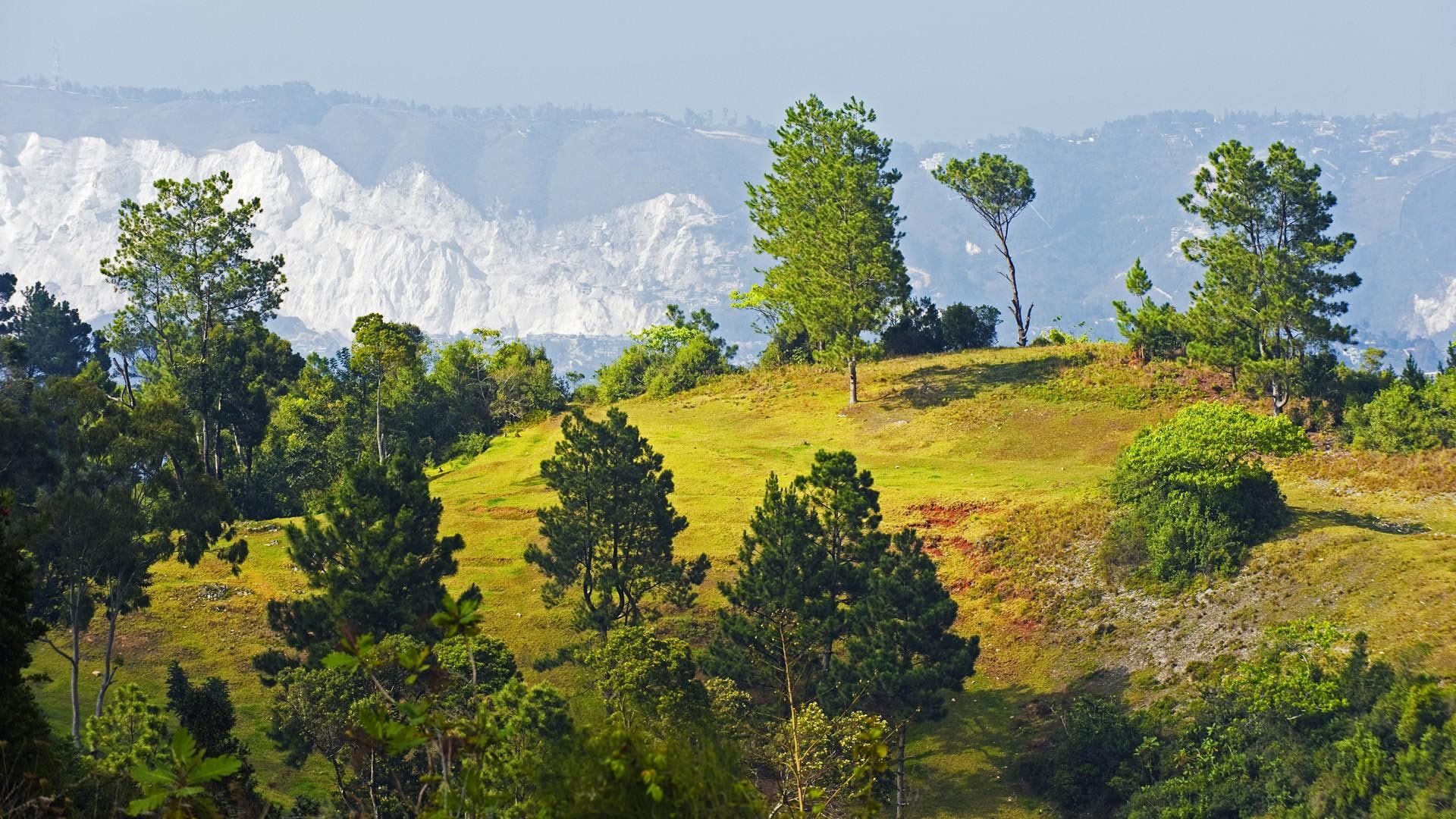 mountains, port, trees, haiti, prince, nature and landscapes, 1080P, cliffs, hiil, HD Wallpaper