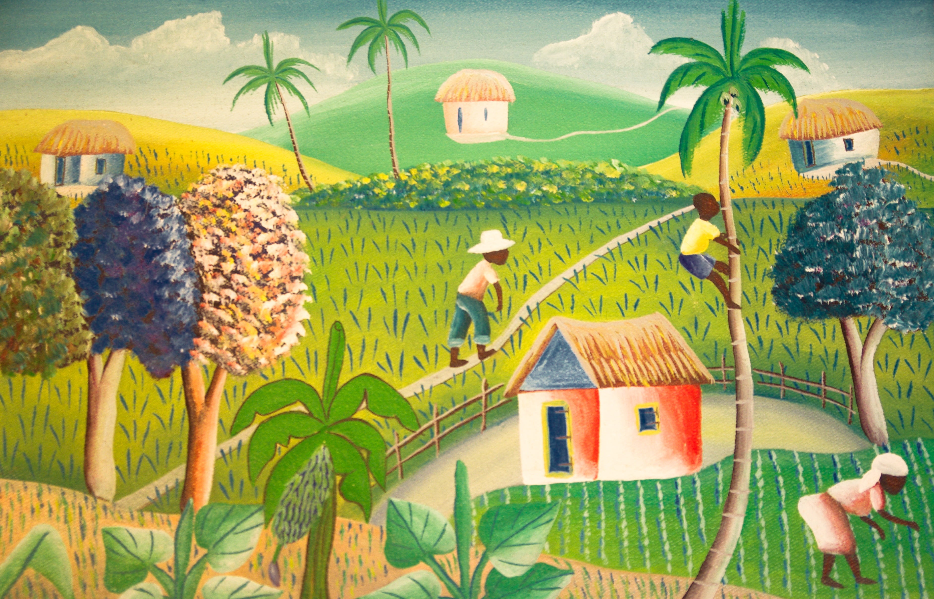 growth, house, fields, boy, palm tree, climbing, agriculture, panoramic, architecture, coconut, plant, building exterior, plant part, green color, tree, HD Wallpaper