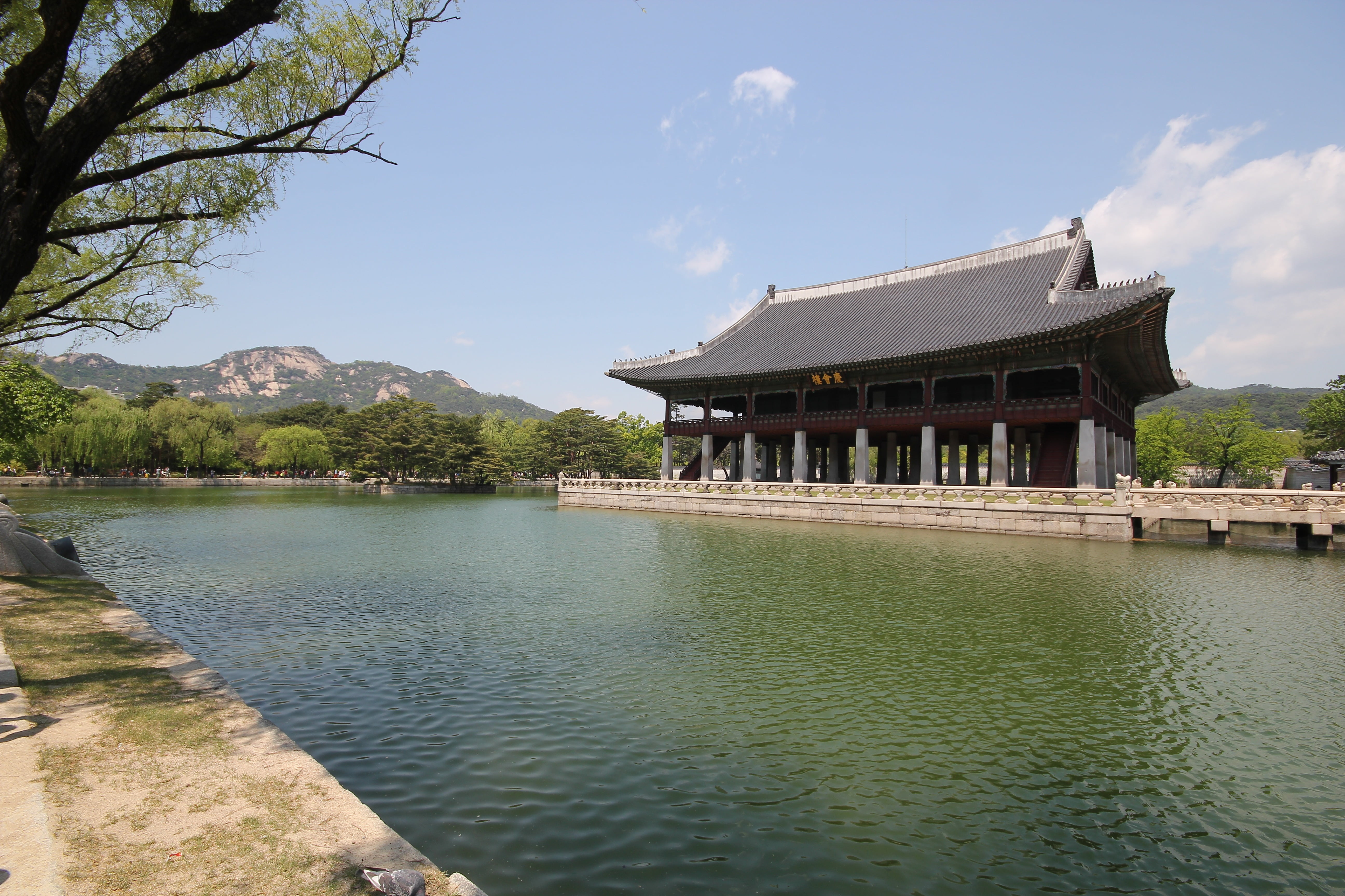 built structure, sky, tourism, the royal palace, day, building, plant, city, tree, 5K, architecture, forbidden city, nature, travel, gyeongbuk palace, HD Wallpaper