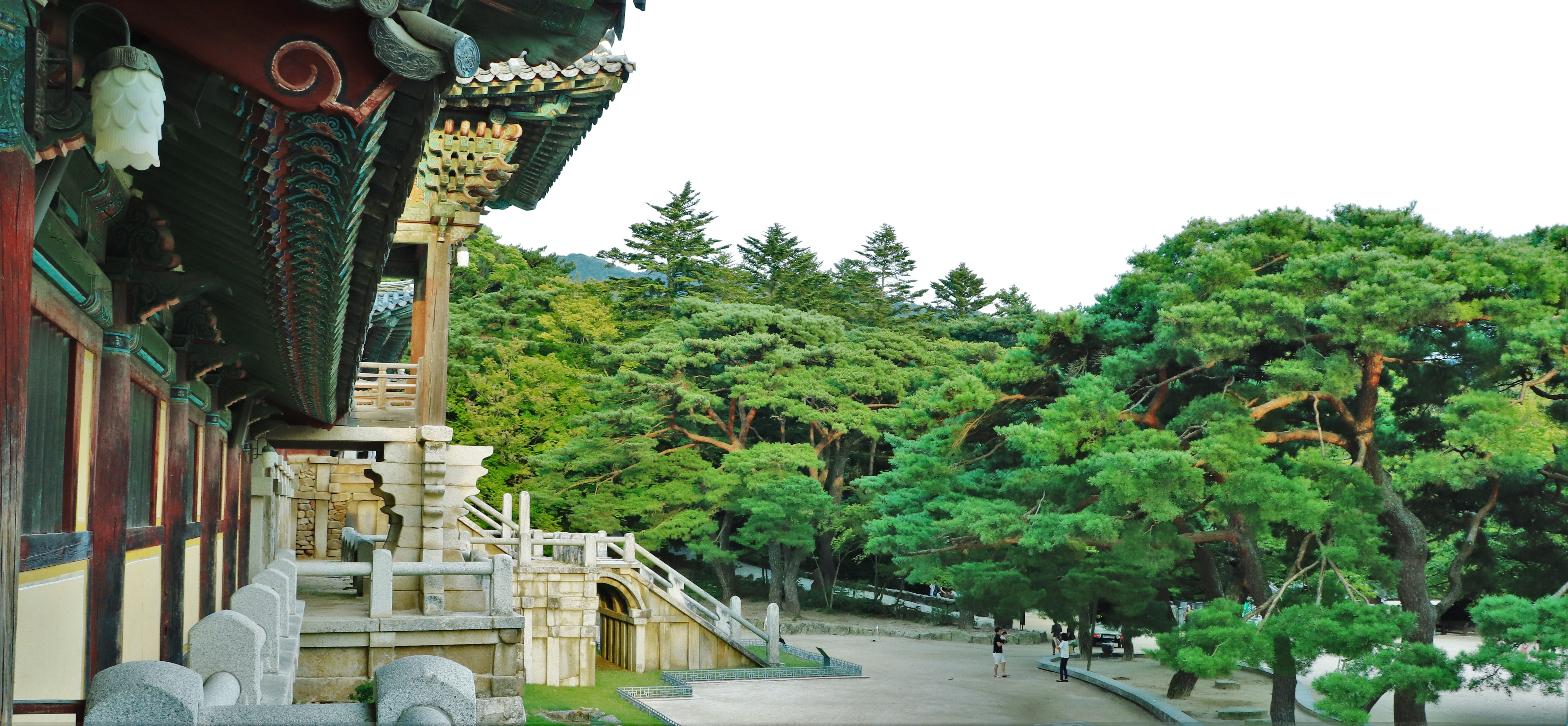 leaves, built structure, clean, architecture, stability, sol, railing, tour, tree, growth, clear sky, stem, the leaves, forest, acanthus, joseon dynasty, HD Wallpaper