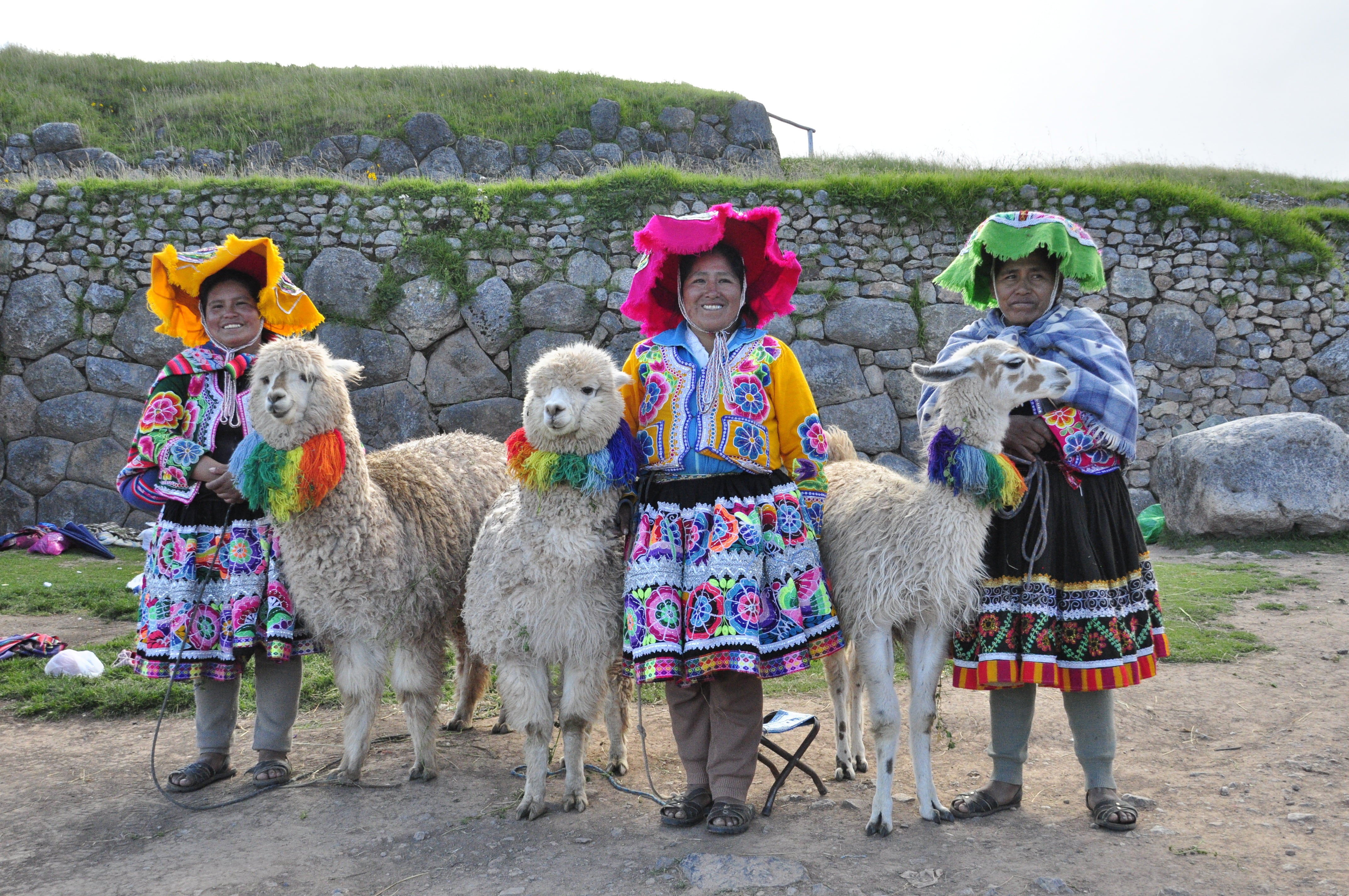 full length, real people, group of animals, lama, alpaca, mammal, peru, tourism, outdoors, multi colored, day, inca, standing, south america, portrait, HD Wallpaper