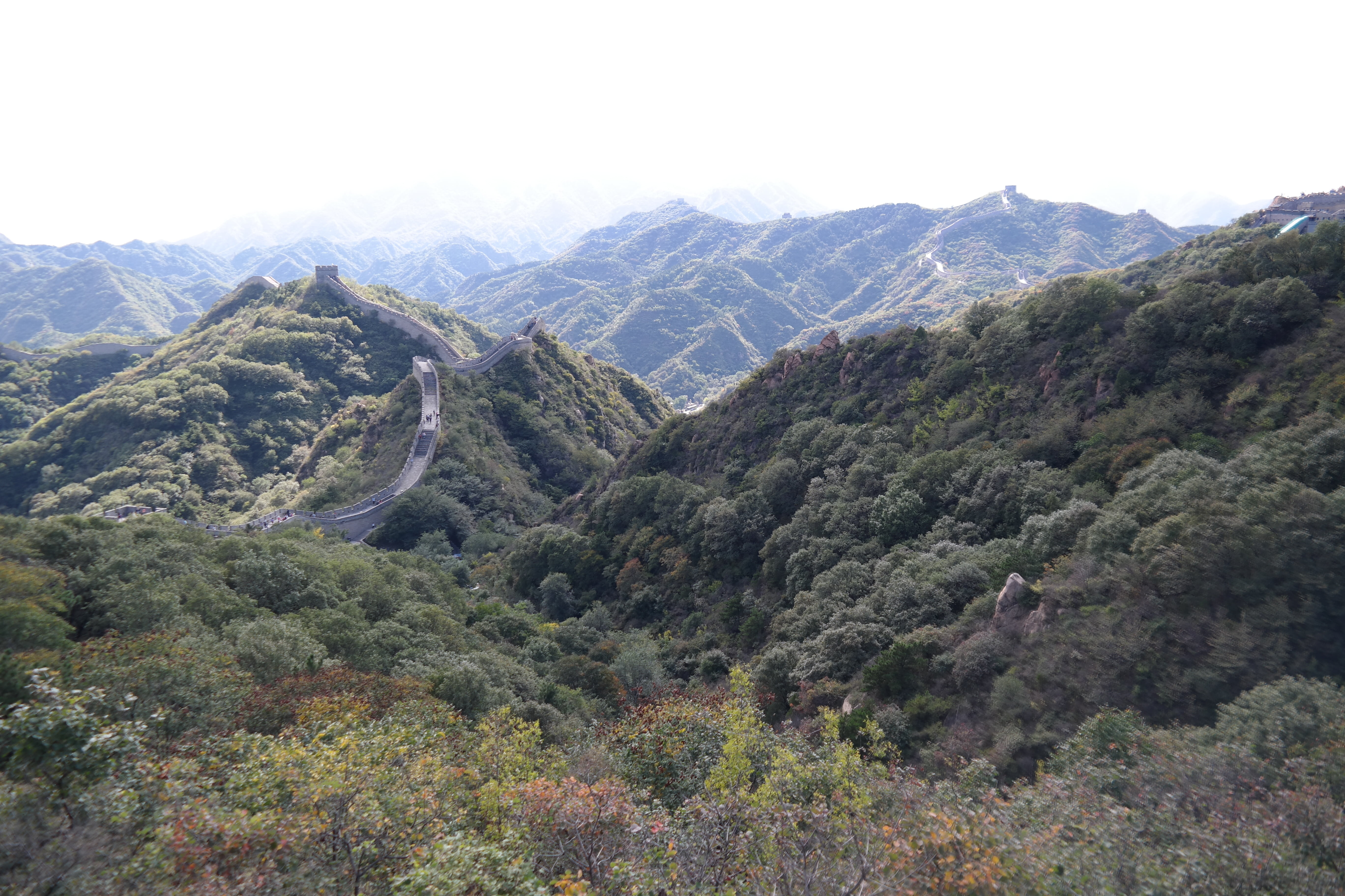 remote, china, arid climate, 5K, tranquility, nature, outdoors, non-urban scene, plant, land, growth, great wall, tree, wall, scenics - nature, climate, HD Wallpaper