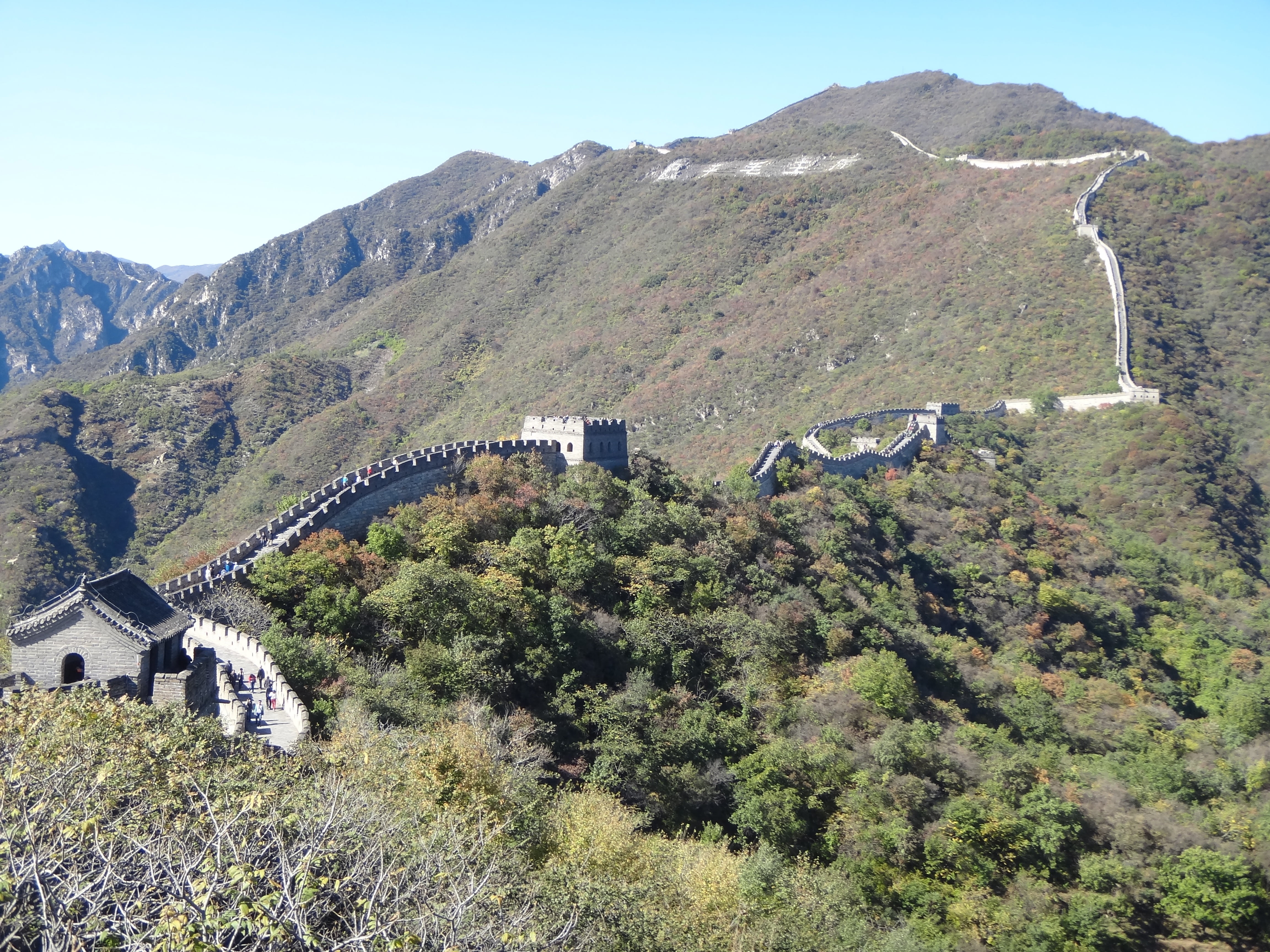 mountains, mountain range, outdoors, idyllic, tree, no people, the great wall, 4K, clear sky, tranquil scene, day, tranquility, architecture, growth, environment, HD Wallpaper