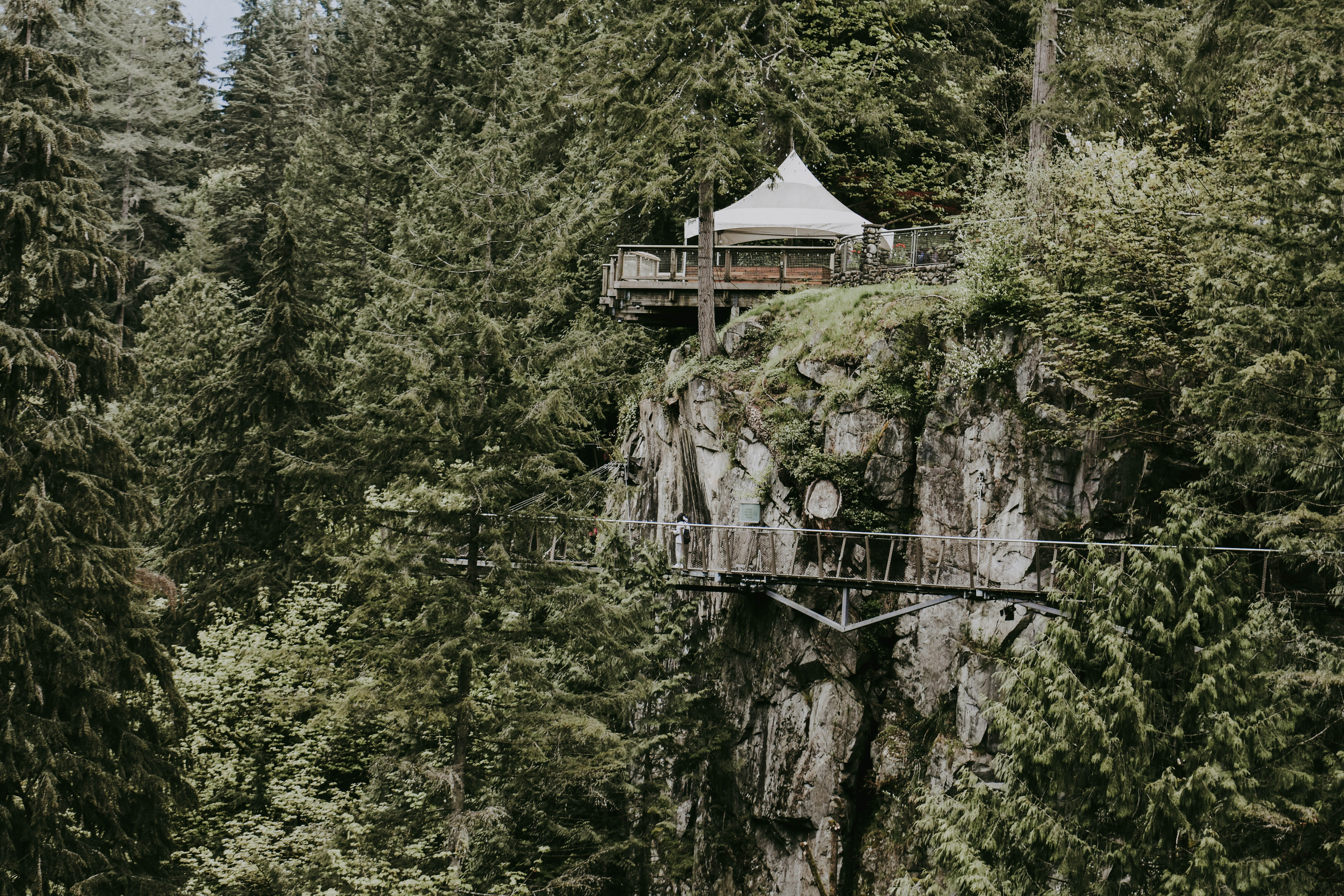 tree, 5K, cliff rock, building, green color, architecture, tent, house on a cliff, forest, tree house, canopy, adventure, built structure, beauty in nature, HD Wallpaper