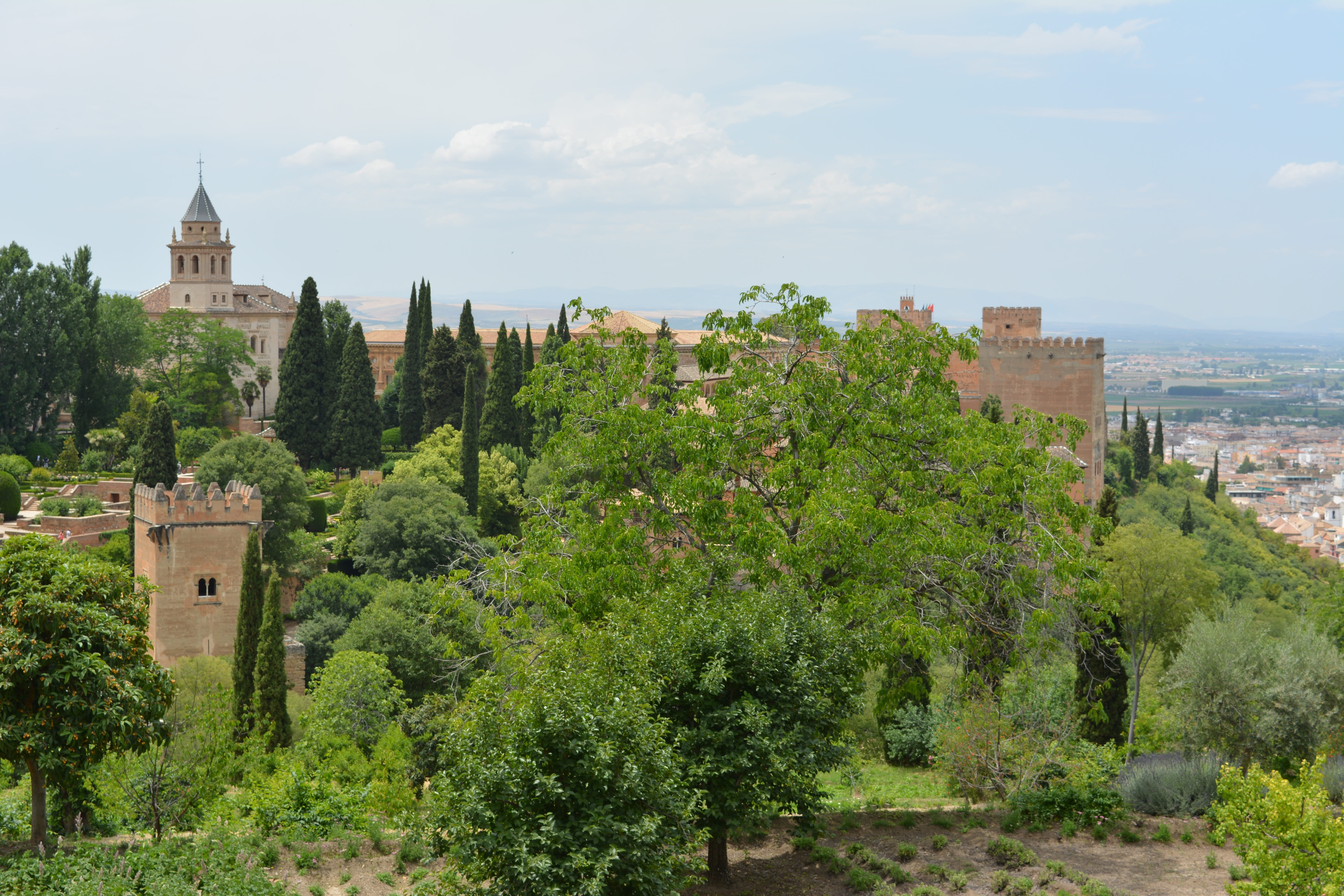 place of worship, travel destinations, tourism, sky, granada, religion, outdoors, Spain, day, plant, Granada, building, no people, growth, history, green color, HD Wallpaper