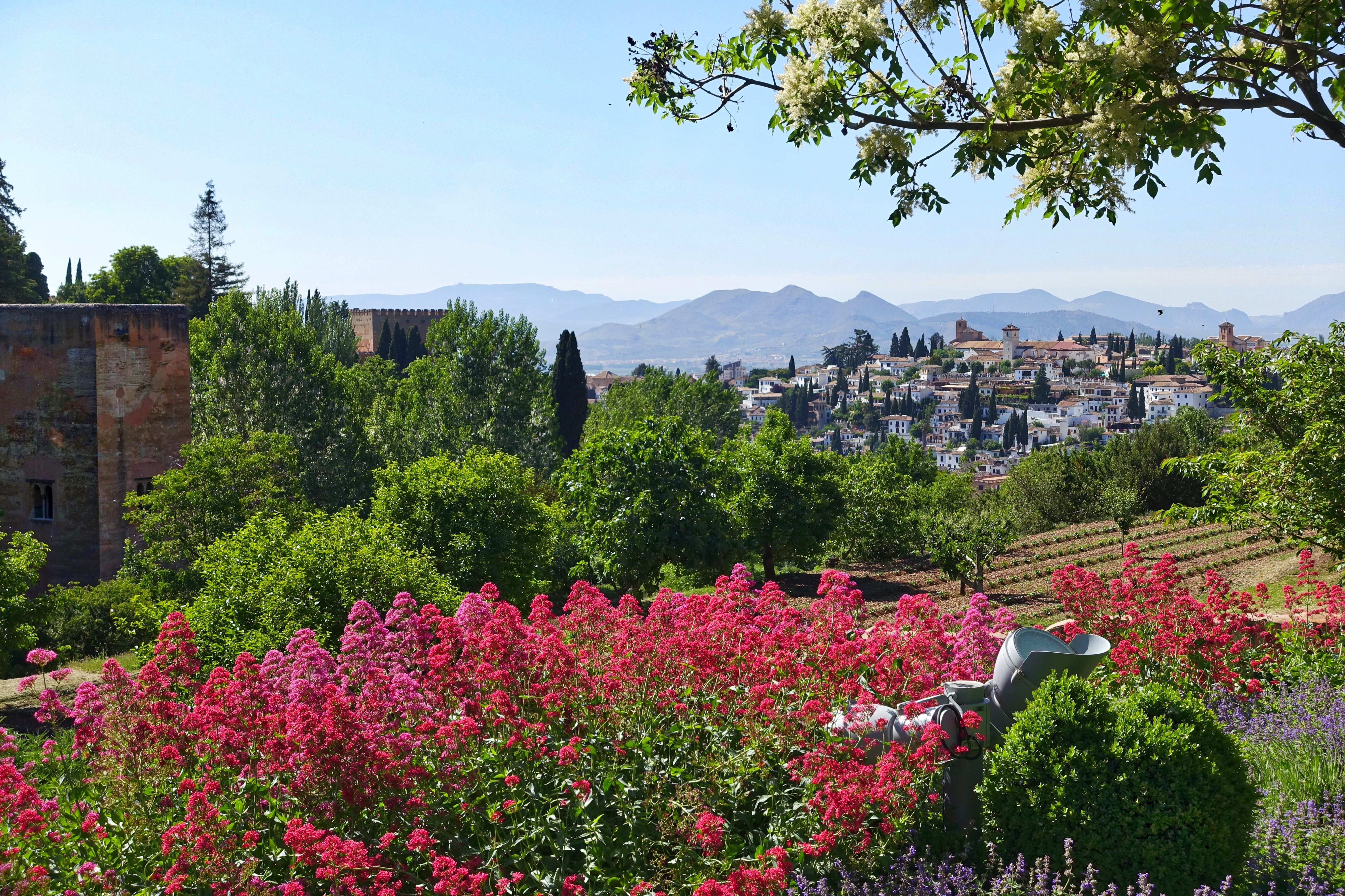 tree, green color, mountain, building, flowering plant, 5K, growth, day, no people, Moorish, Alhambra, building exterior, architecture, residential district, HD Wallpaper
