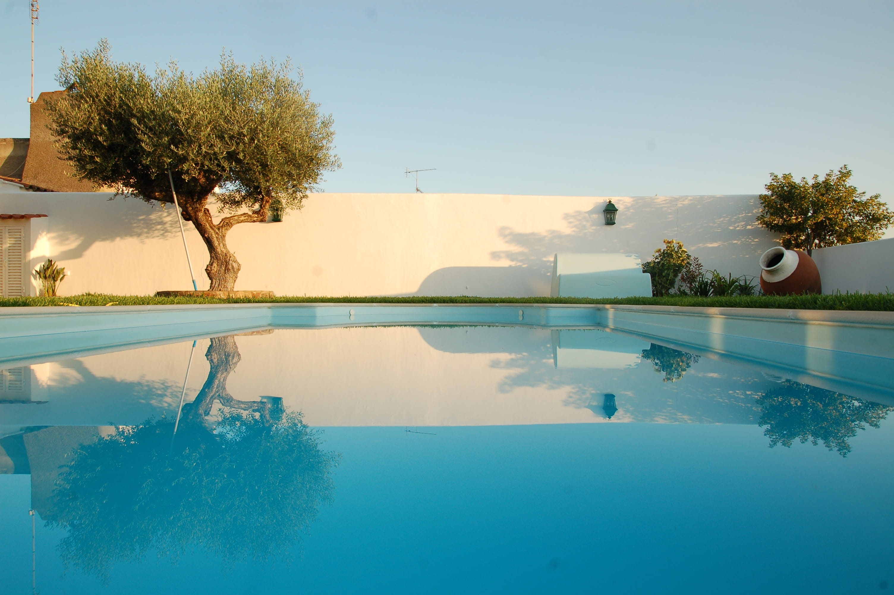portugal, summer, swimming, olive, tree, blue, beauty in nature, no people, tranquil scene, plant, house, water, alentejo, near, built structure, tranquility, HD Wallpaper
