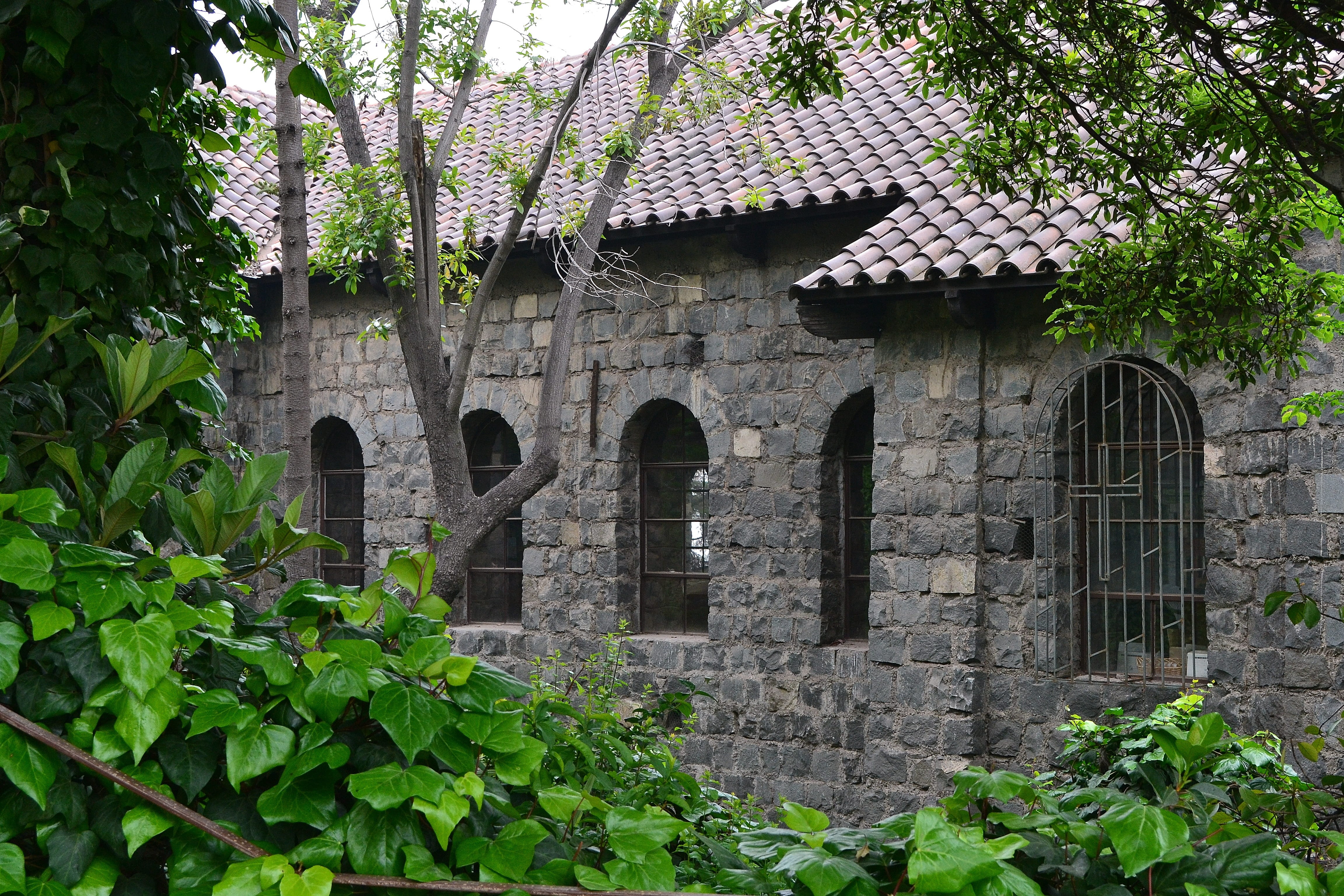 Temple, plant, built structure, nature, sanctuary of the virgin, history, leaf, building, stone wall, day, building exterior, Virgin, growth, outdoors, HD Wallpaper
