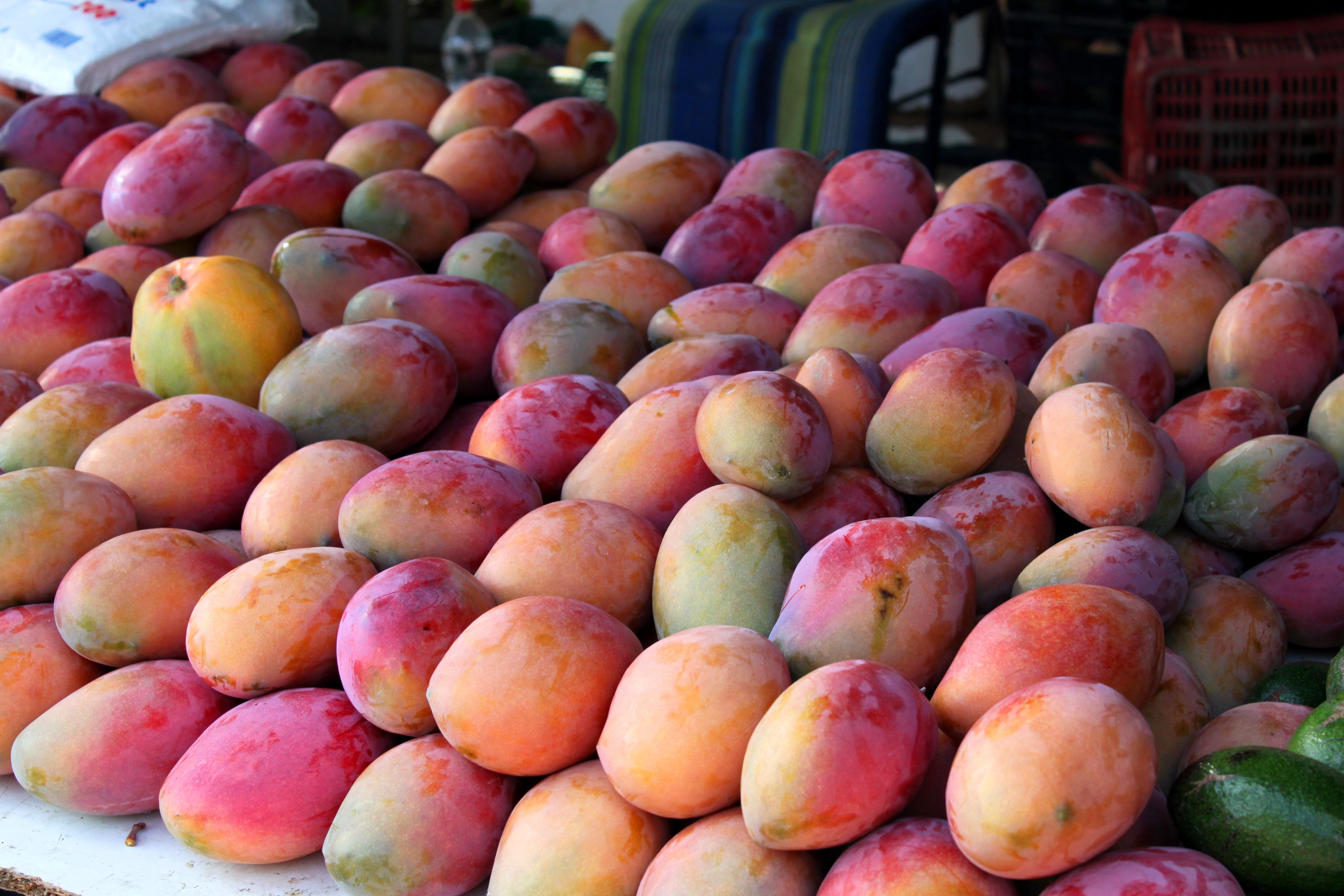 retail, mangoes, ripe, fruit, day, still life, yellow, market, market stall, business, organic, no people, food and drink, food, repetition, fruits, andalusia, HD Wallpaper