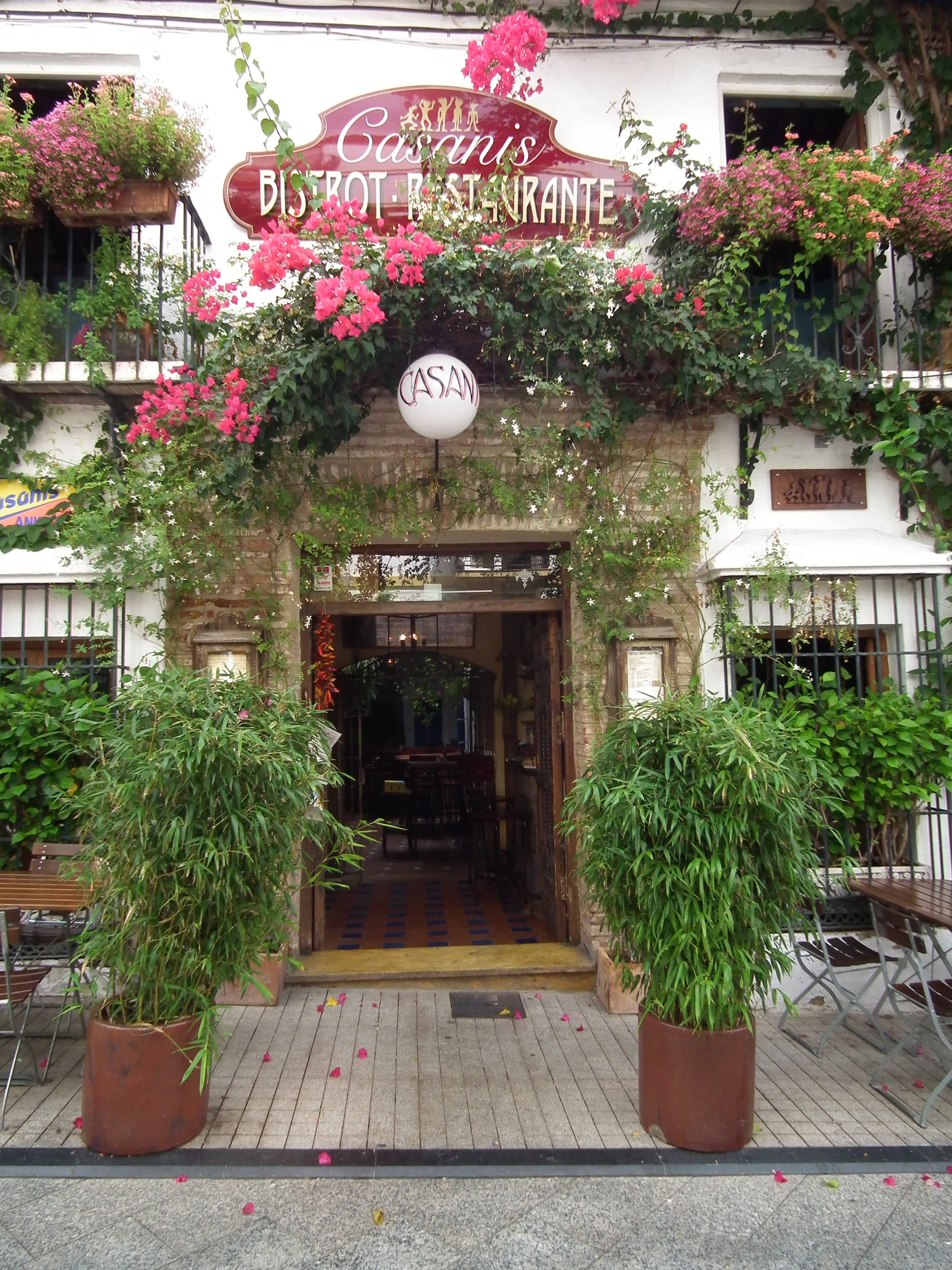 nature, growth, 2K, non-western script, building exterior, architecture, communication, tree, script, marbella, day, entrance, plant, spain, text, potted plant, Phone HD Wallpaper