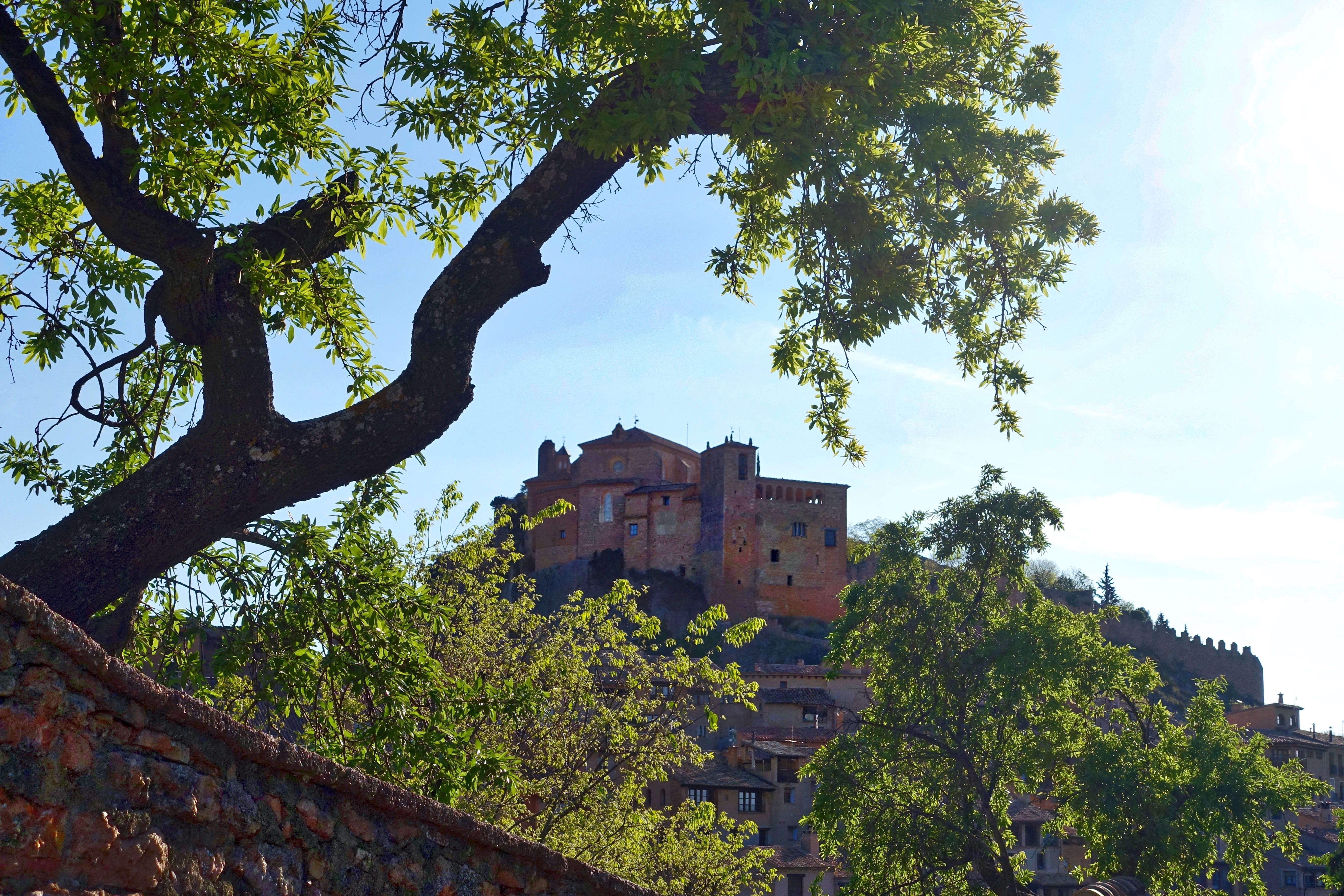 outdoors, building, alquezar, historic, old, nature, buildings, no people, plant, castle, ruined, growth, landmark, green color, landscape, tree, 5K, famous, HD Wallpaper