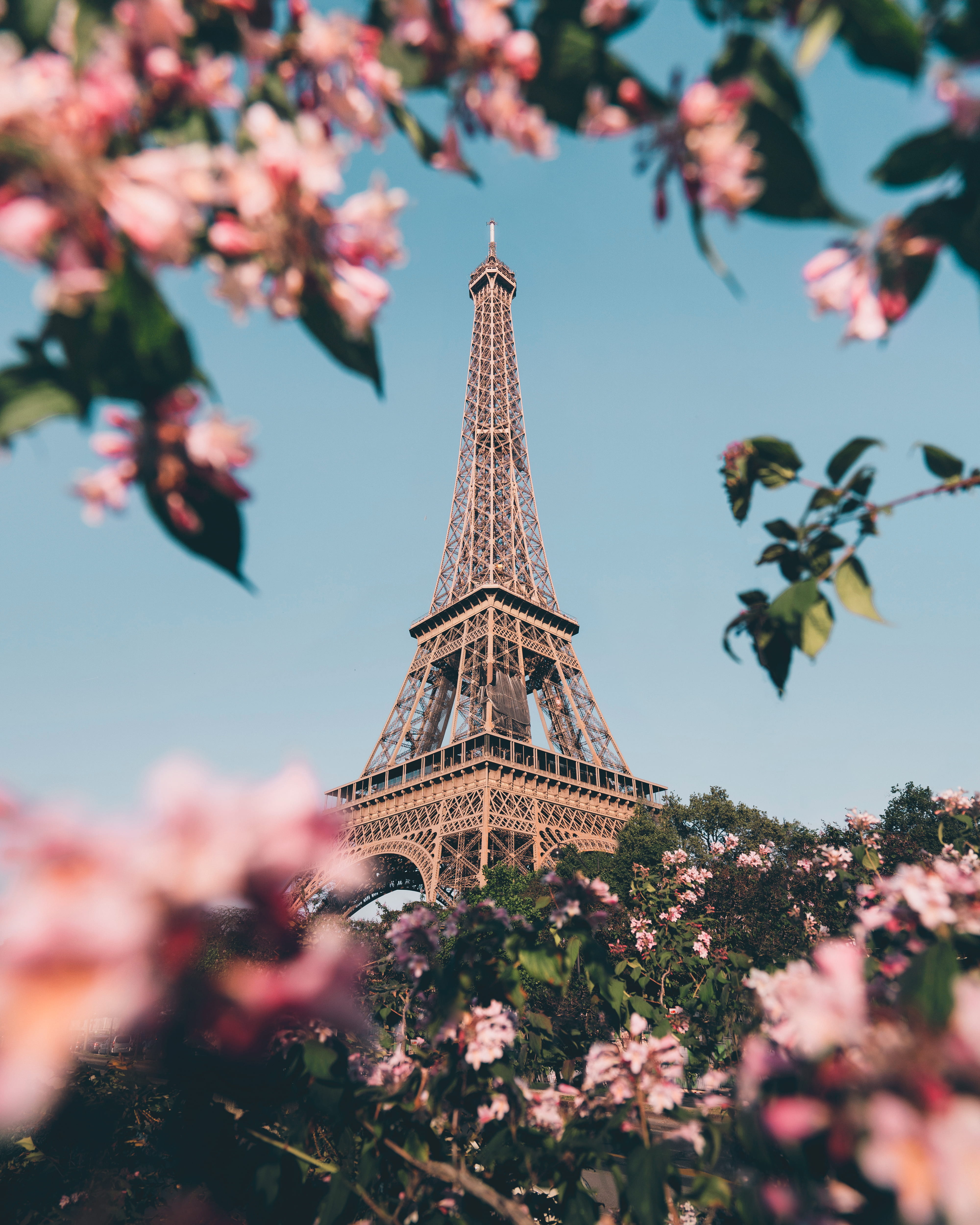 low angle view, eiffel, no people, france, sky, travel, built structure, colour, tower, flower, bright, travel destinations, focus, outdoors, architecture, Phone HD Wallpaper