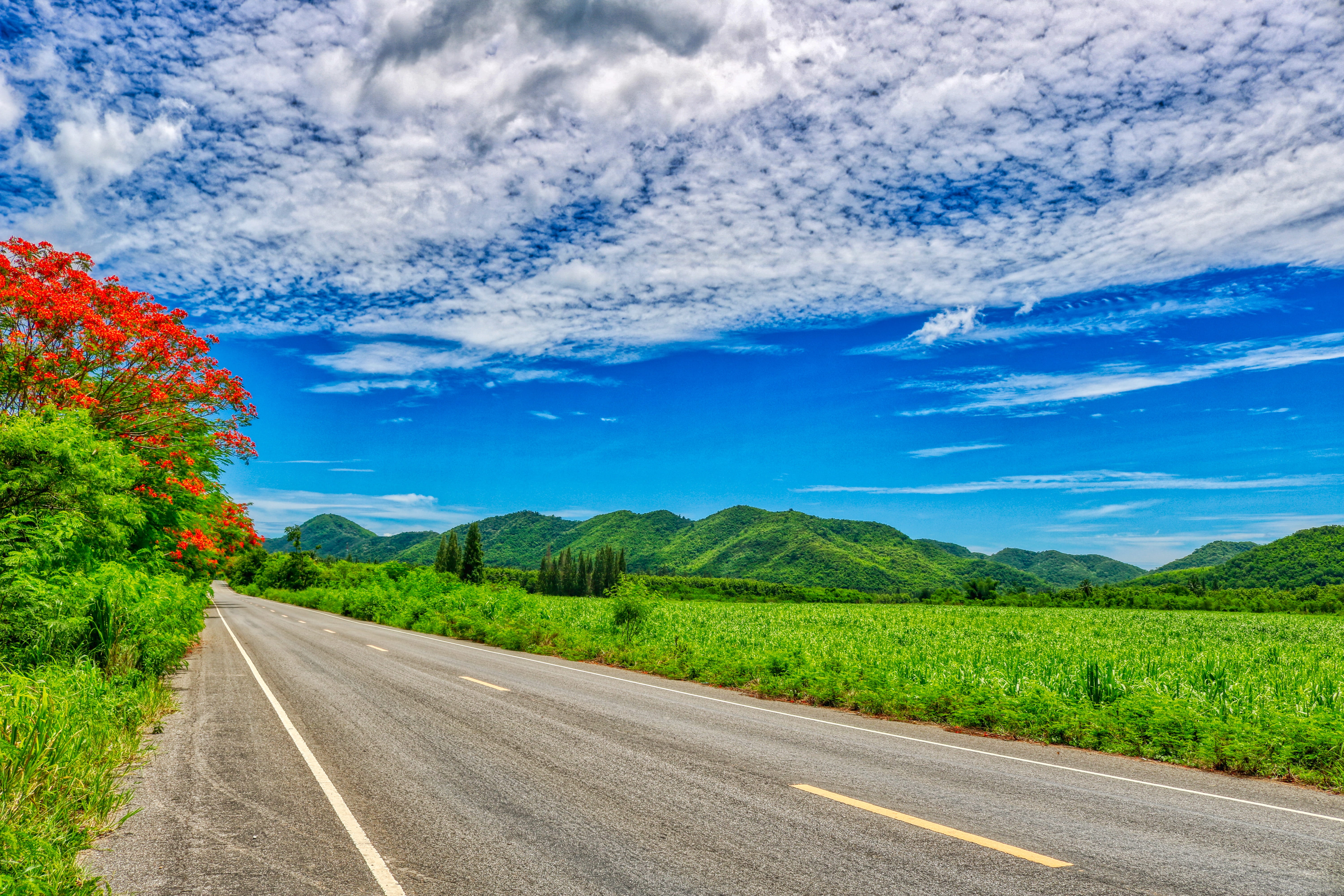 land, sky, in the, scenics - nature, blue, forest, flower, clouds, serene, tropical, tranquil scene, hua hin, travel, environment, asphalt, sign, outdoors, HD Wallpaper