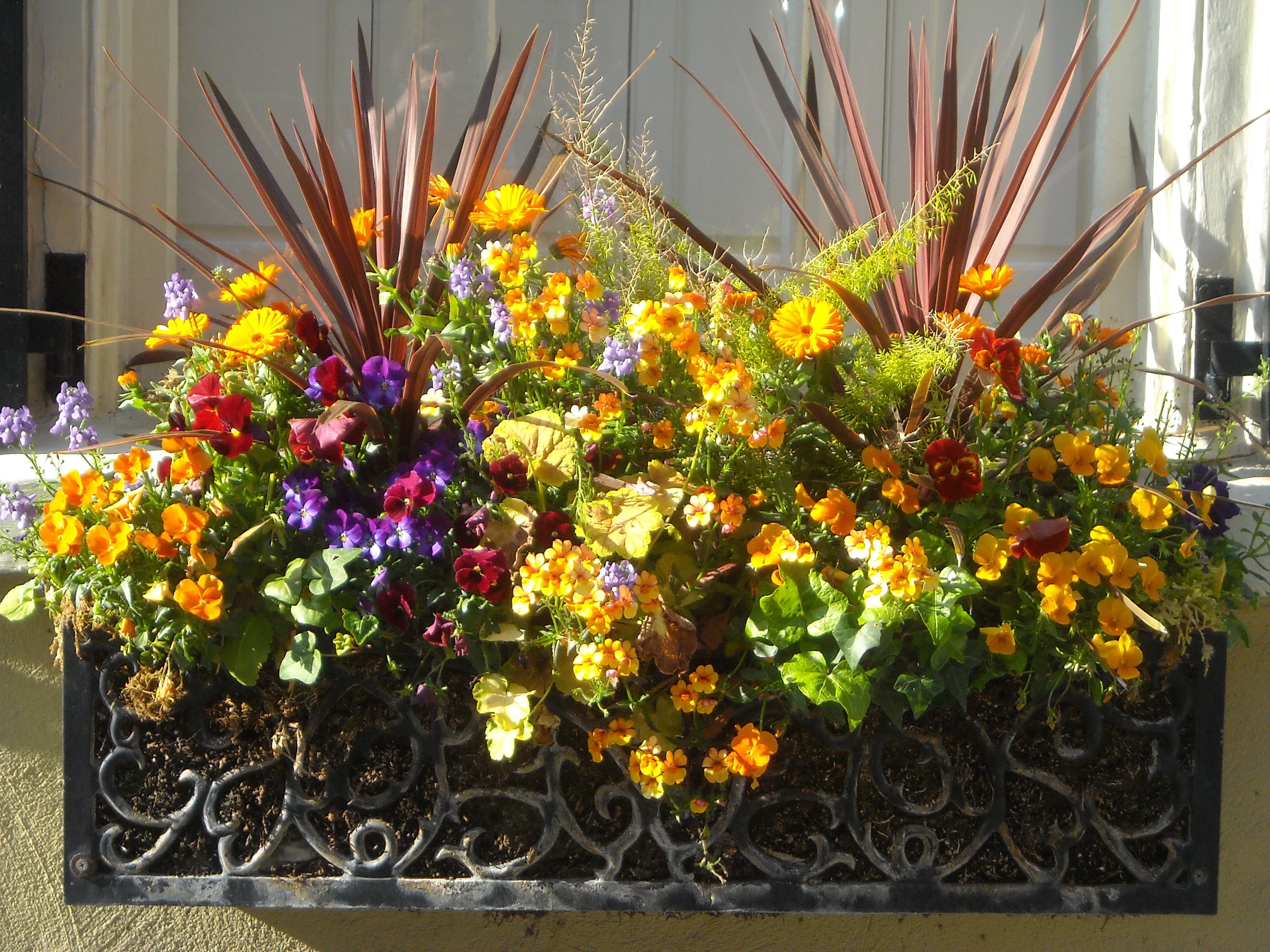 facade, multi colored, petal, bouquet, color, floral, design, day, green, old, vulnerability, flowers, growth, freshness, indoors, frame, bunch of flowers, HD Wallpaper