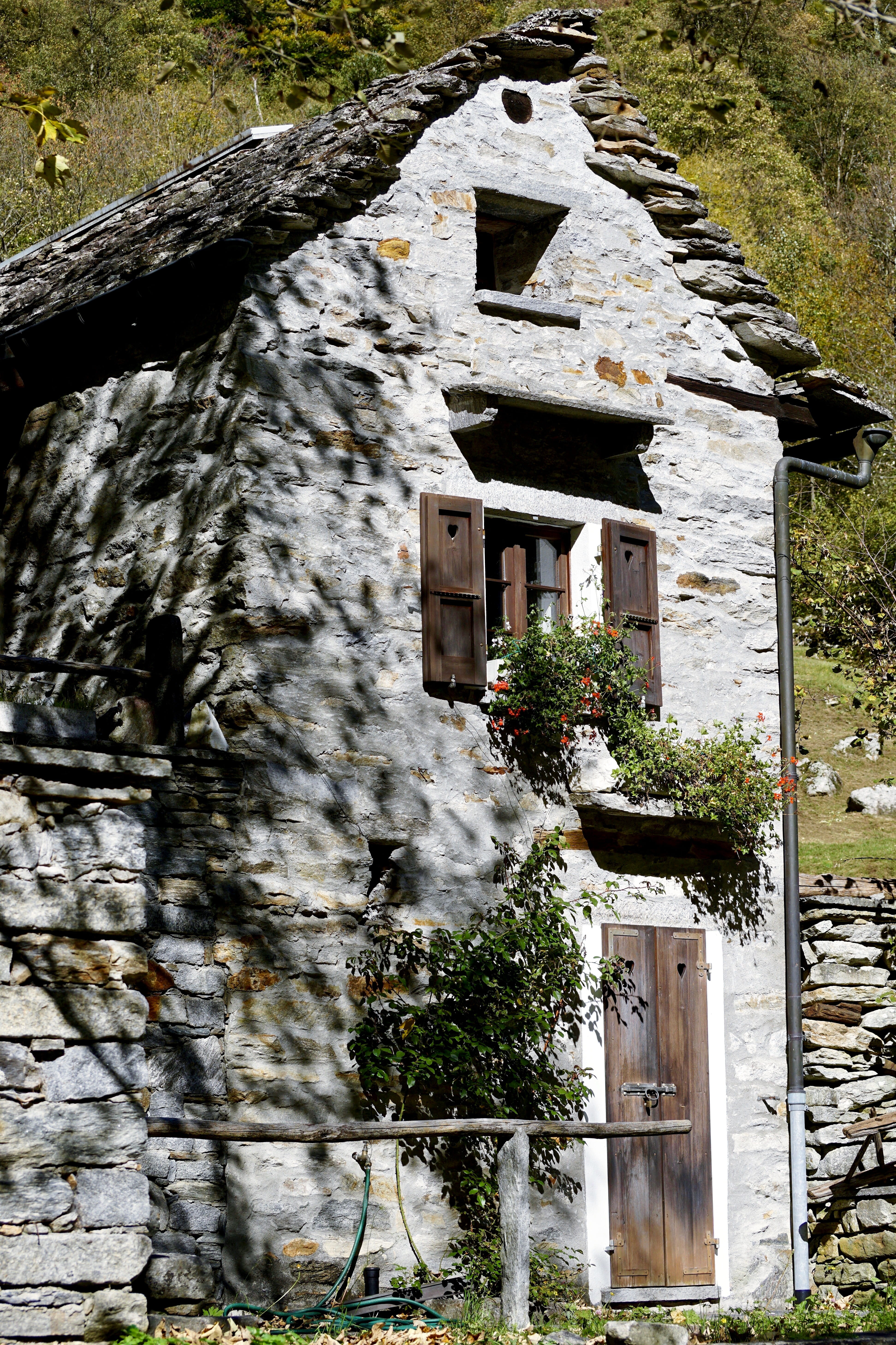 input, facade, built structure, stone wall, window, country house, old door, house, brick, no people, rock, 5K, plant, tree, wooden door, front door, romantic, Phone HD Wallpaper