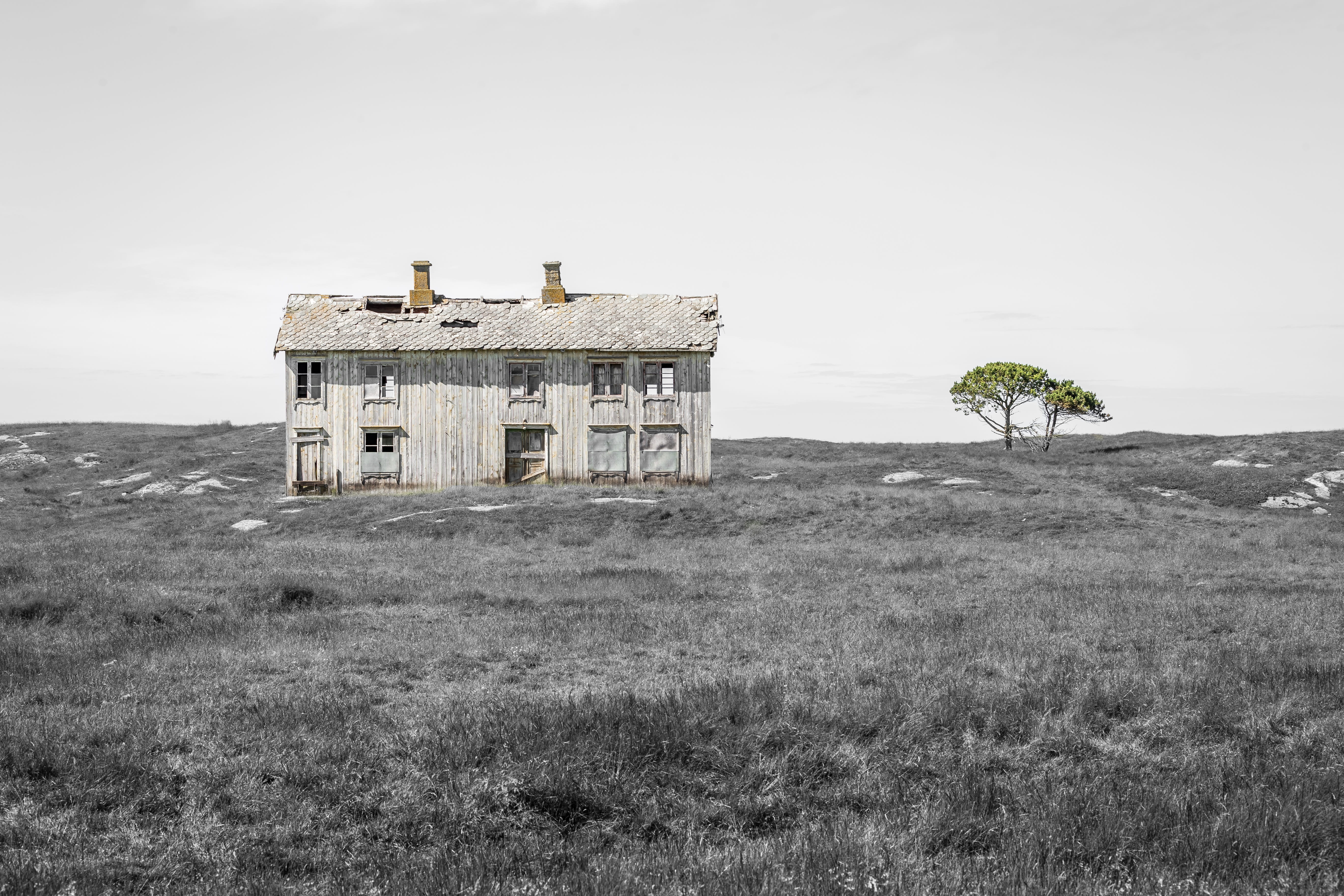 nature, deterioration, slum, france, grass, town, ruined, tourism, ancient, sky, damaged, roof, coastline, Ancient, tranquility, field, land, tree, day, HD Wallpaper
