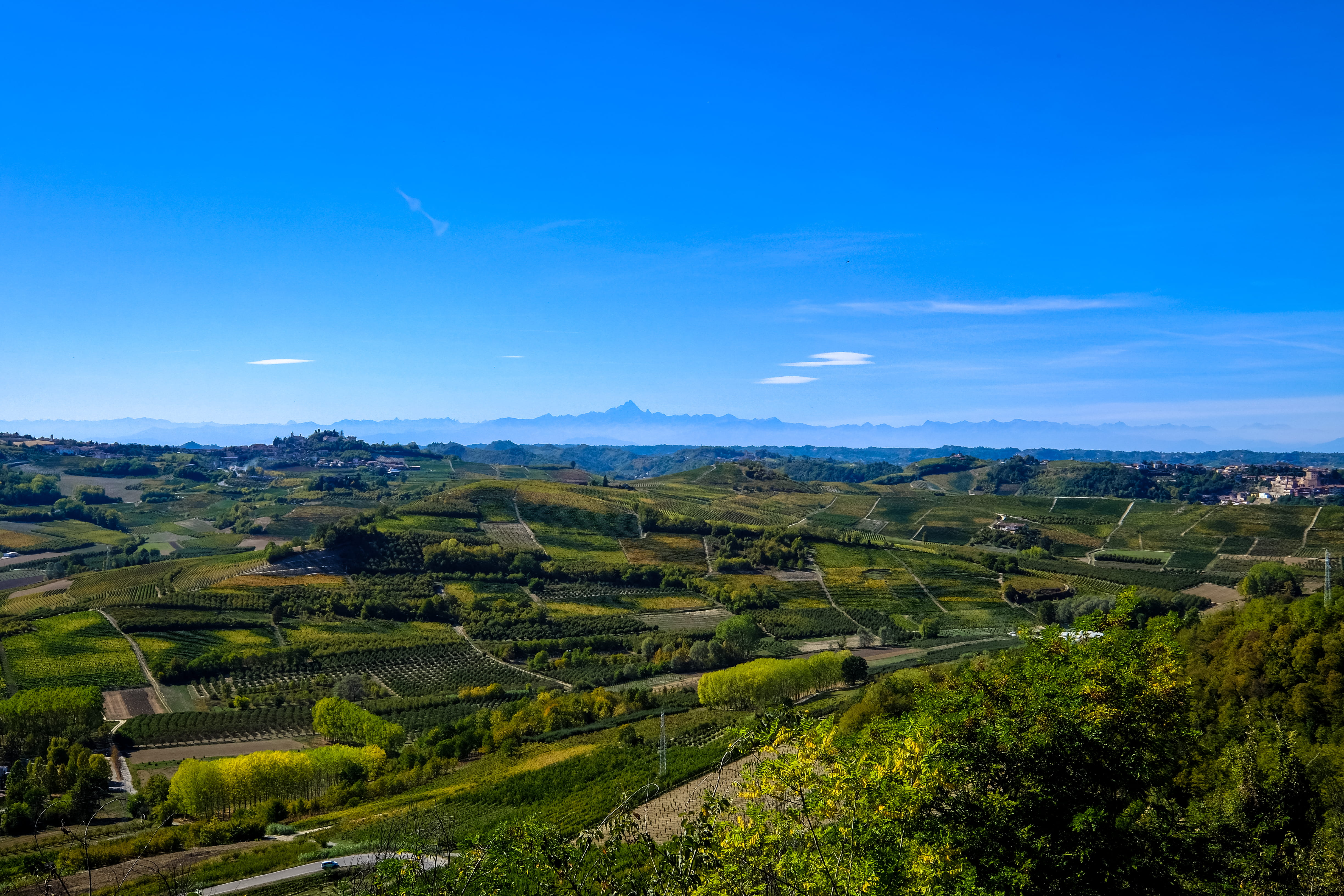 plant, beauty in nature, sky, field, tranquility, day, italy, plantation, neive, mountain, rolling landscape, tranquil scene, idyllic, scenics - nature, HD Wallpaper