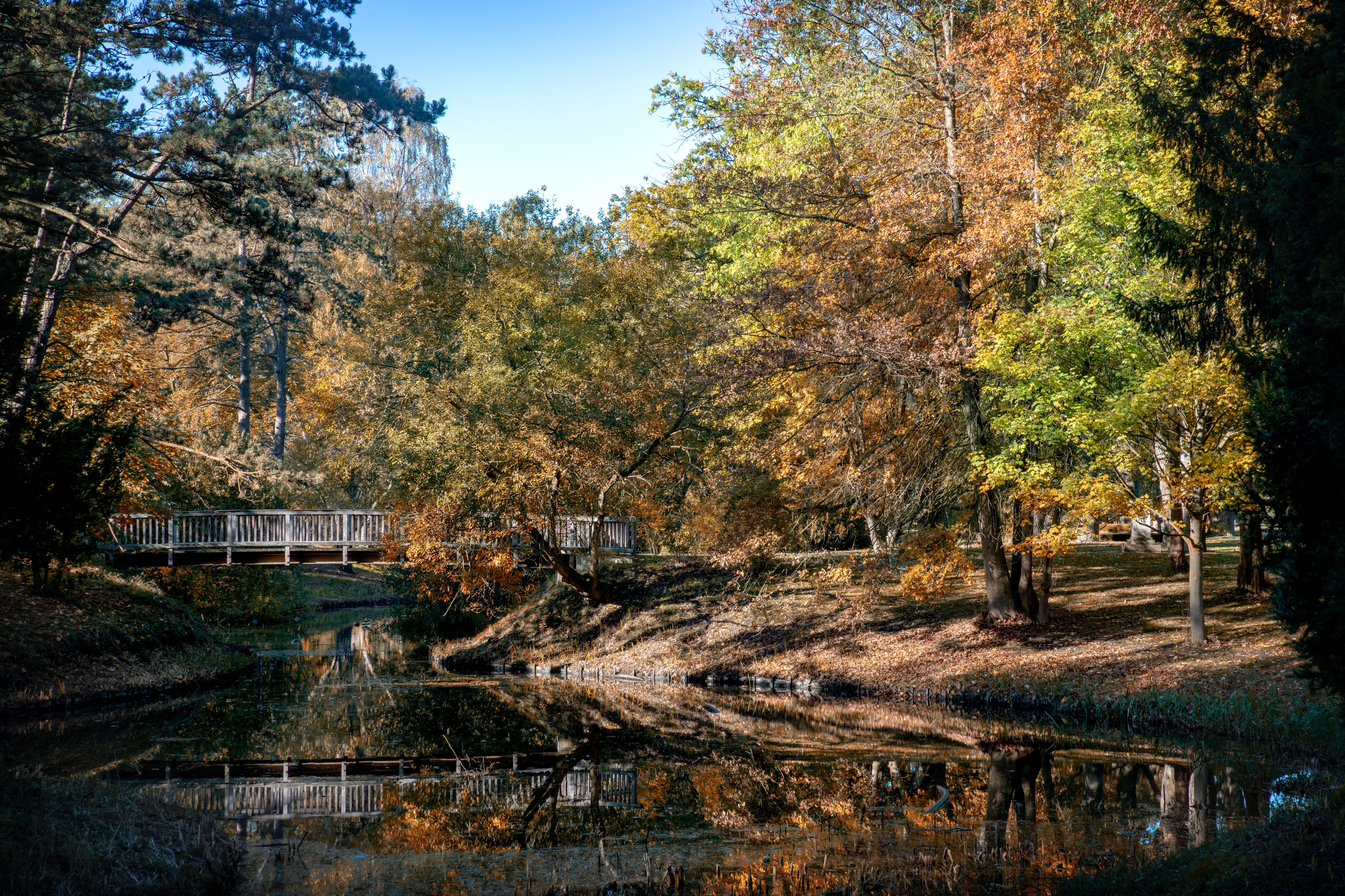 lake, fall, bremen, d850, change, leaves, waters, citizens park, beauty in nature, 8K, no people, mood, autumn, bremen walle, cemetery, river, scenics - nature, HD Wallpaper