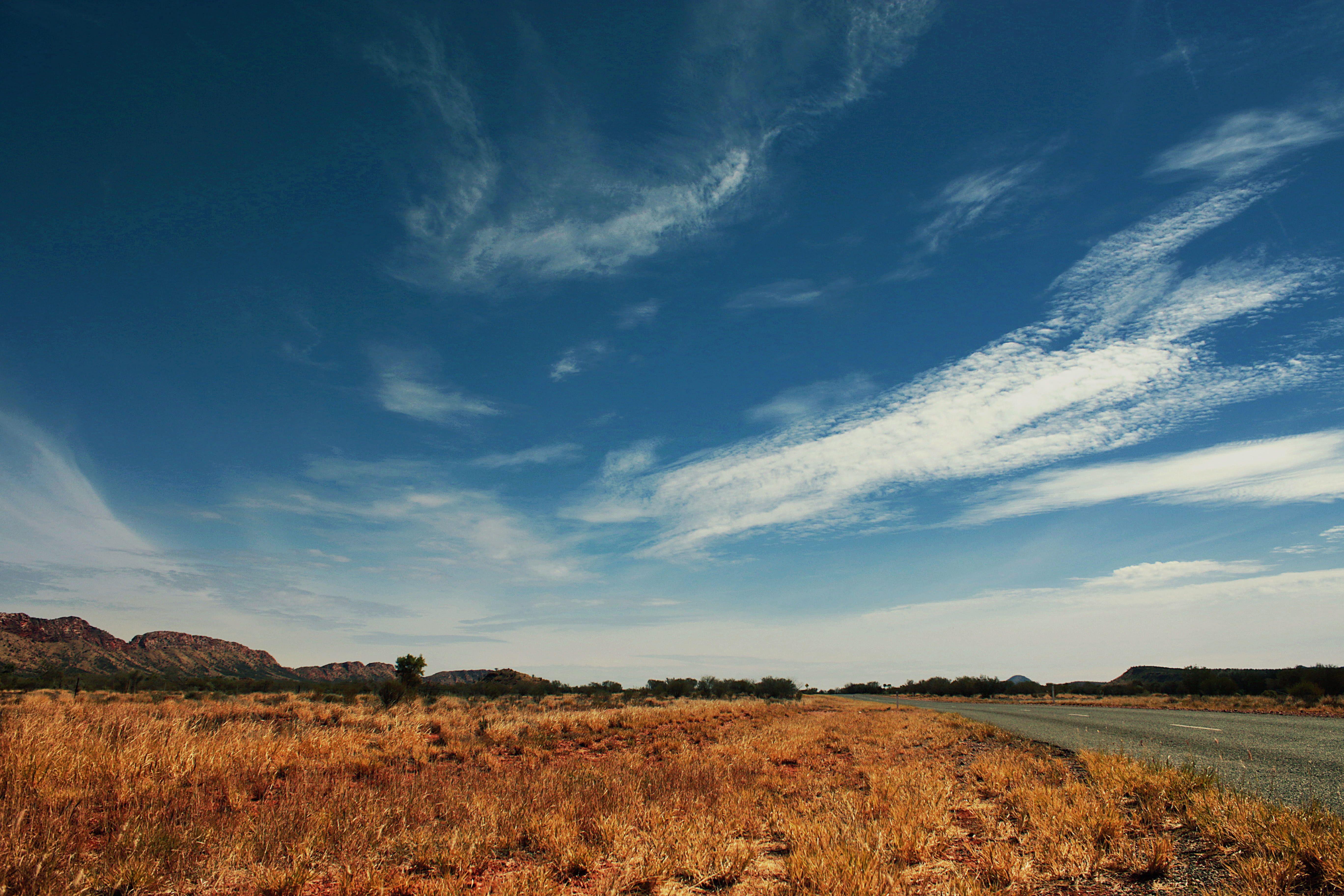 scenery, northern territory, agriculture, nature, ground, growth, countryside, sky, landscape, idyllic, grass, azure sky, panoramic, blue, no people, finke gorge national park, HD Wallpaper
