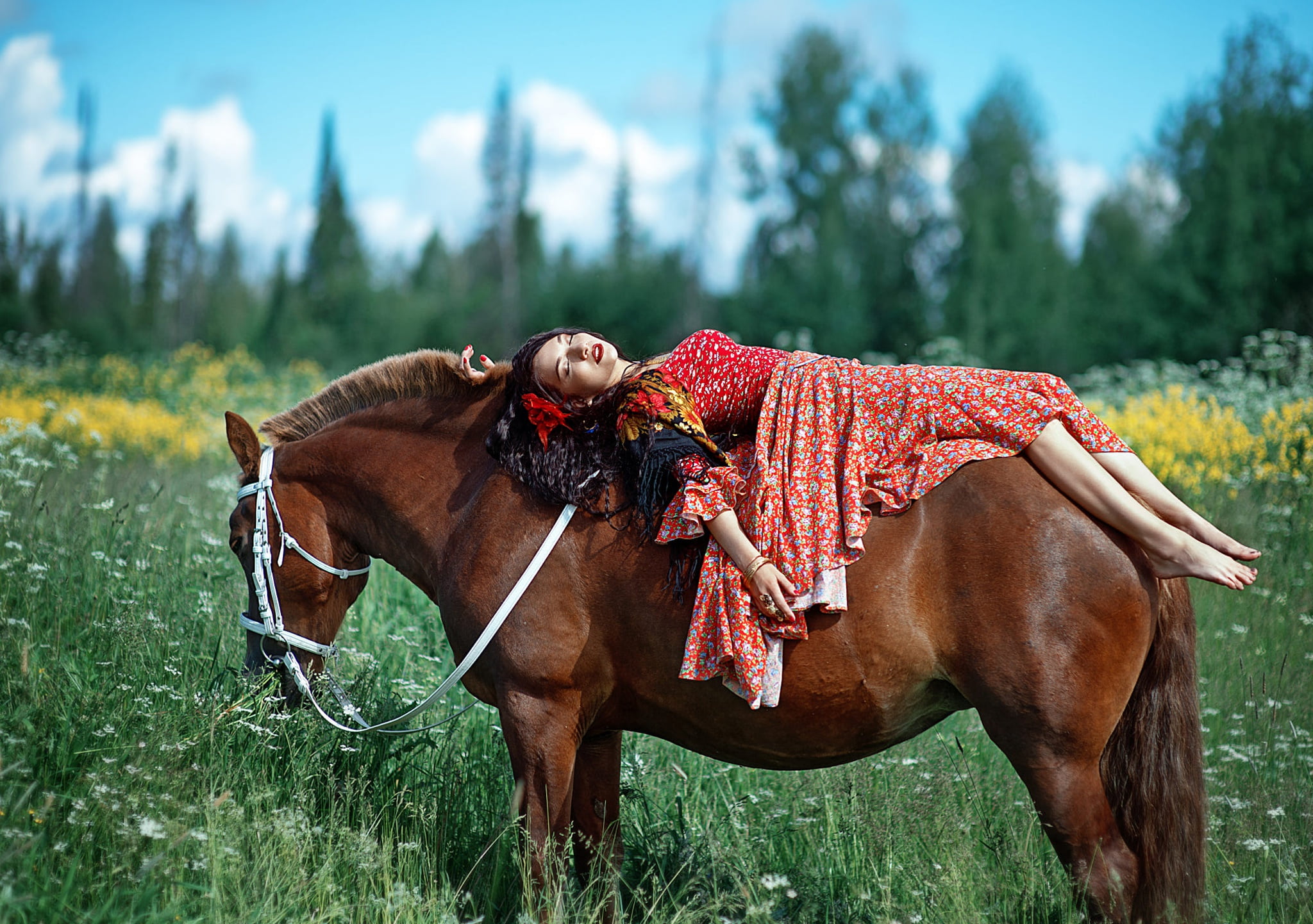 chestnut, sleeping, forest, beautiful, summer, meadow, blue sky, sleep, grass, brunette, mood, Gypsy, nature, red dress, girl, horse, closed eyes, stay, HD Wallpaper