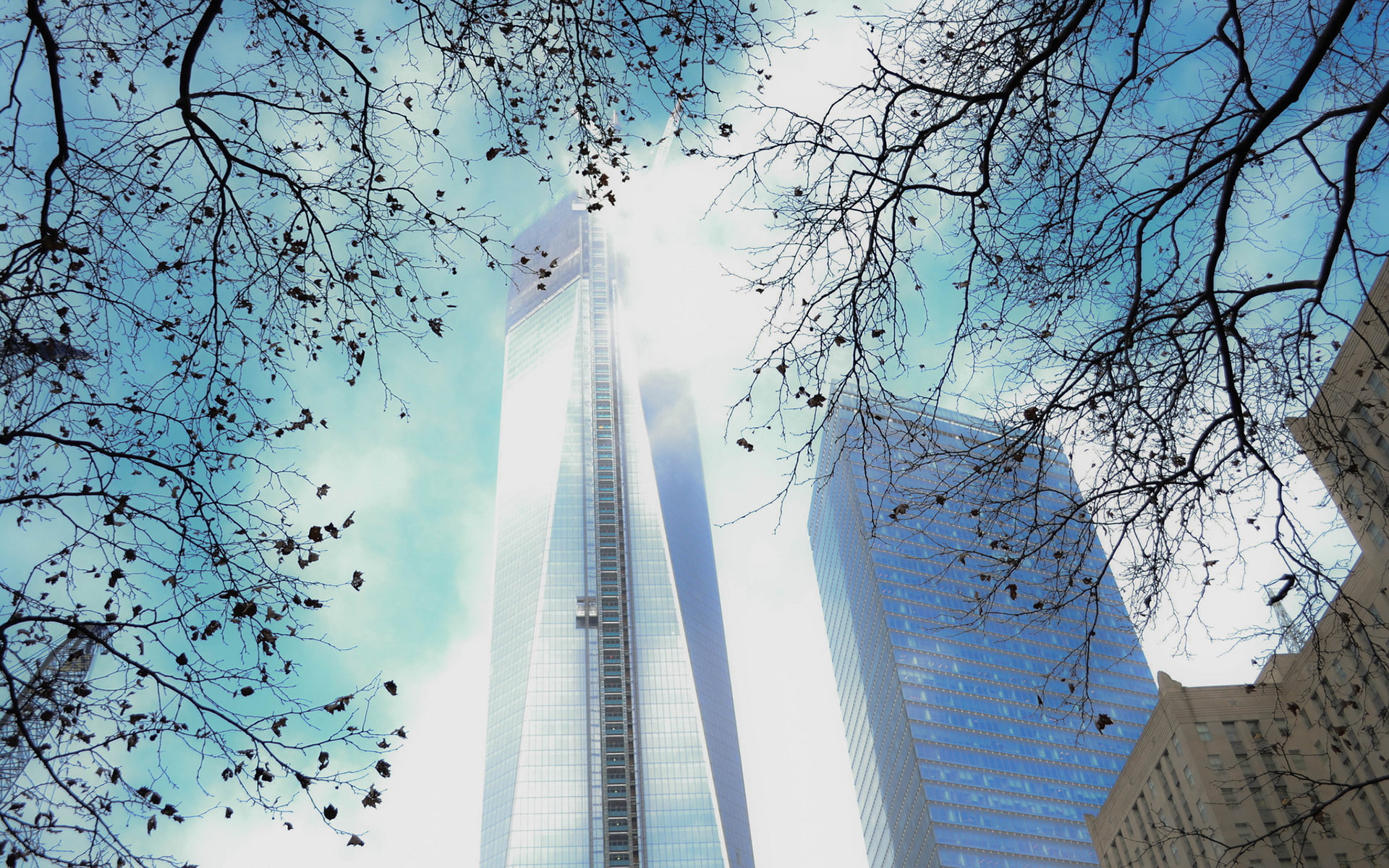 skyscrapers, freedom, buildings, tower, york, 1080P, HD Wallpaper