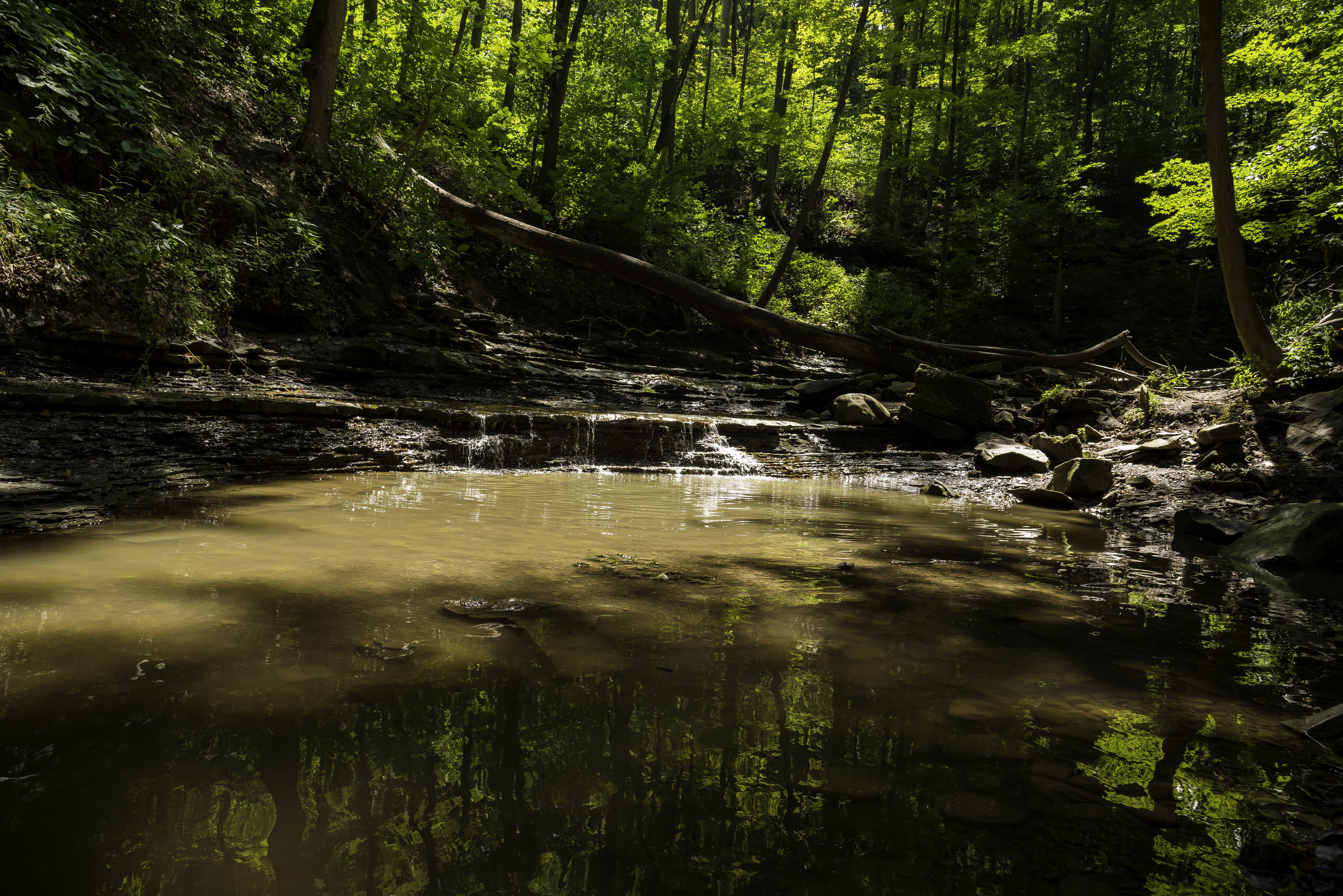 5K, rainforest, cayuhoga river, flowing Water, tranquility, Ohio, public domain, tranquil Scene, green Color, growth, cayuhoga river national park, Landscape, HD Wallpaper