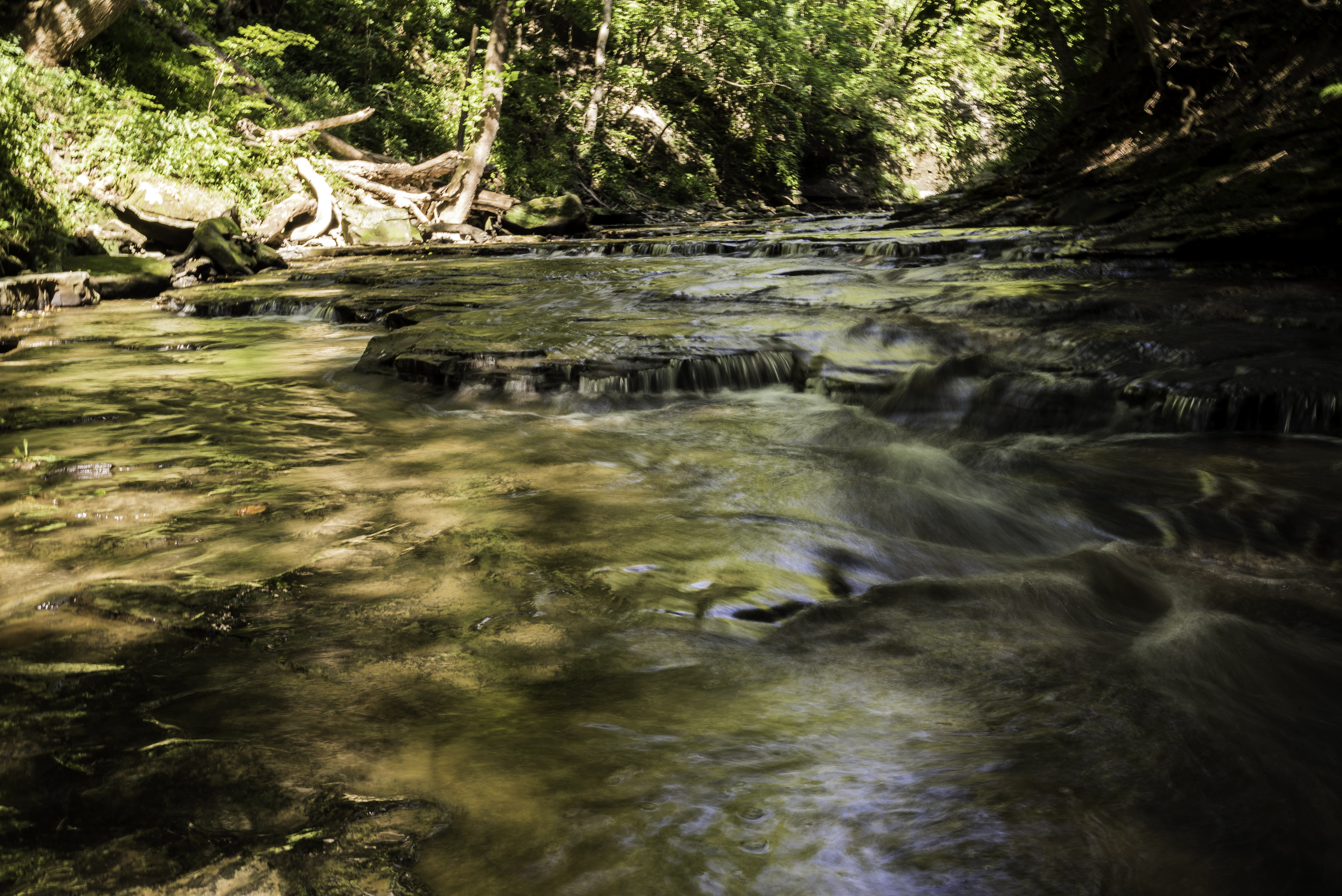 water, River, Ohio, 5K, waterfront, tree, scenics, National Park, Scenic, wet, waterfall, flowing Water, no People, cayuhoga, beauty In Nature, forest, HD Wallpaper