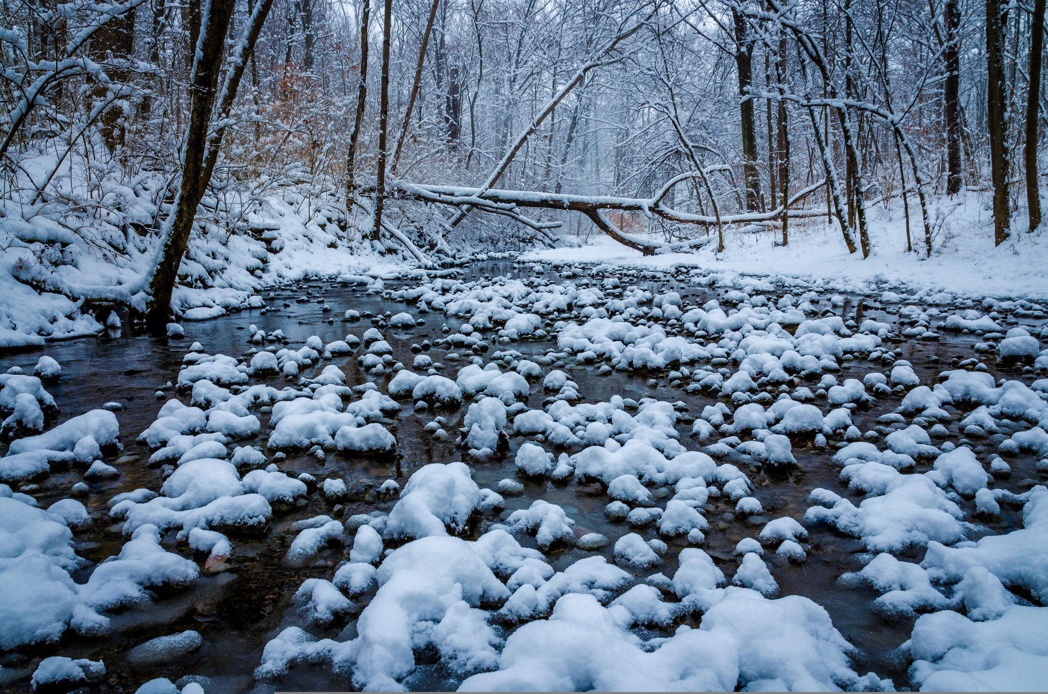 river, Winton Woods, snow, 1080P, Cincinnati, winter, forest, trees, Ohio, HD Wallpaper