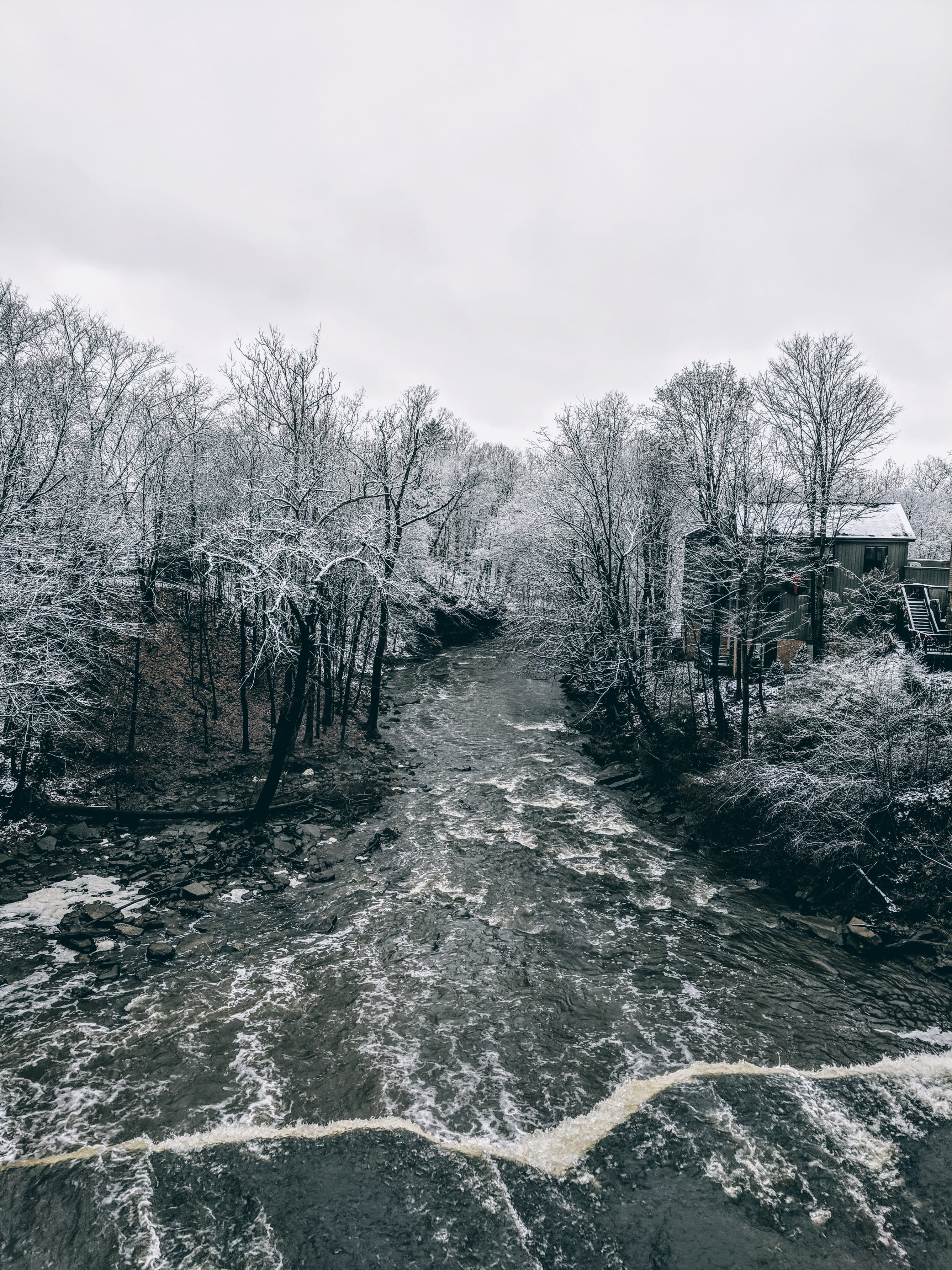 trees, outdoors, winter, plant, tranquility, waterfall, flowing, town, beauty in nature, non-urban scene, day, waterfront, cleveland, near, bare tree, land, Phone HD Wallpaper