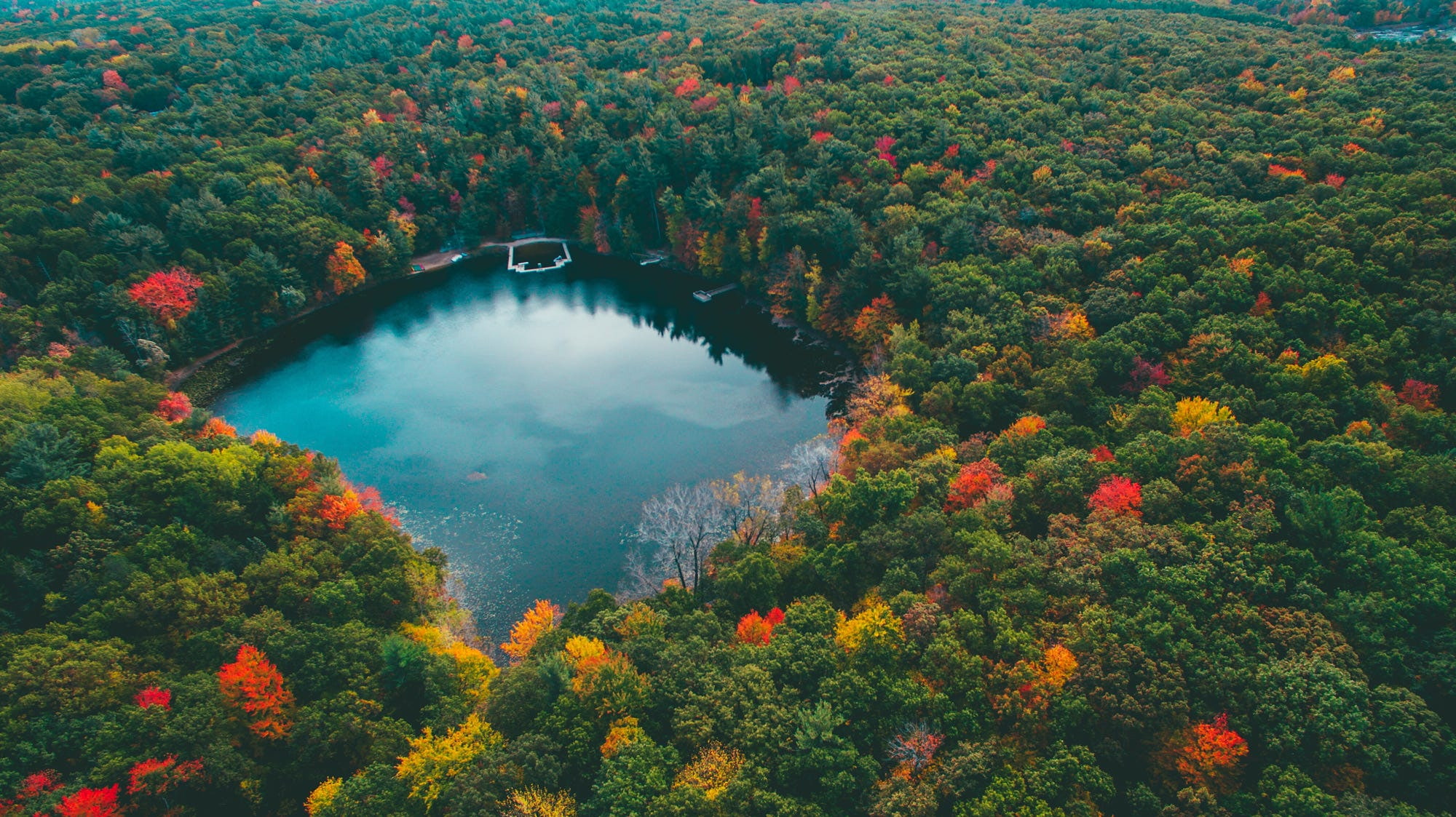 forest, landscape, 1080P, Lake Michigan, water, trees, nature, fall, HD Wallpaper