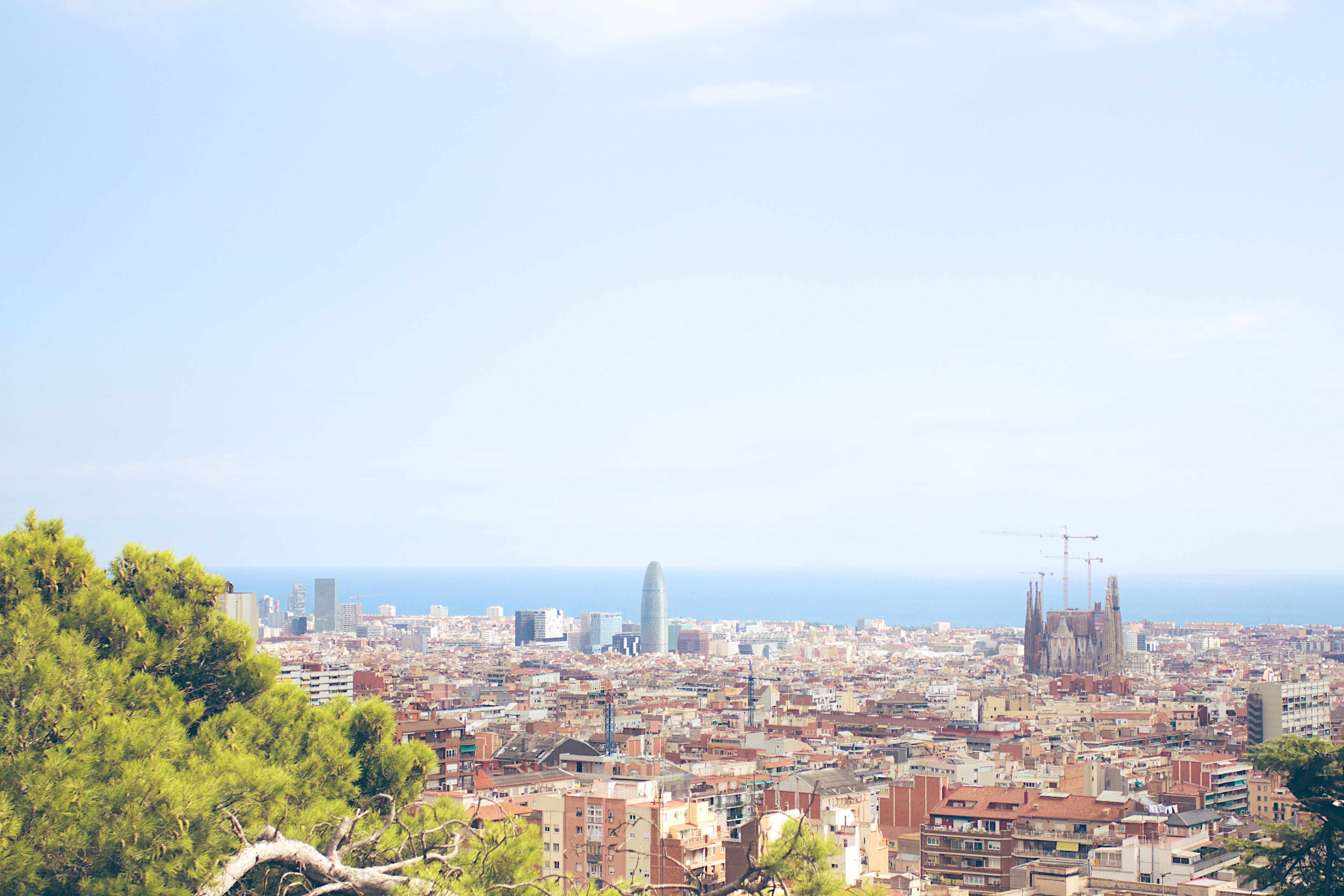 building exterior, copy space, no people, built structure, sky, tree, 4K, park güell, day, nature, barcelona, plant, city, building, residential district, HD Wallpaper
