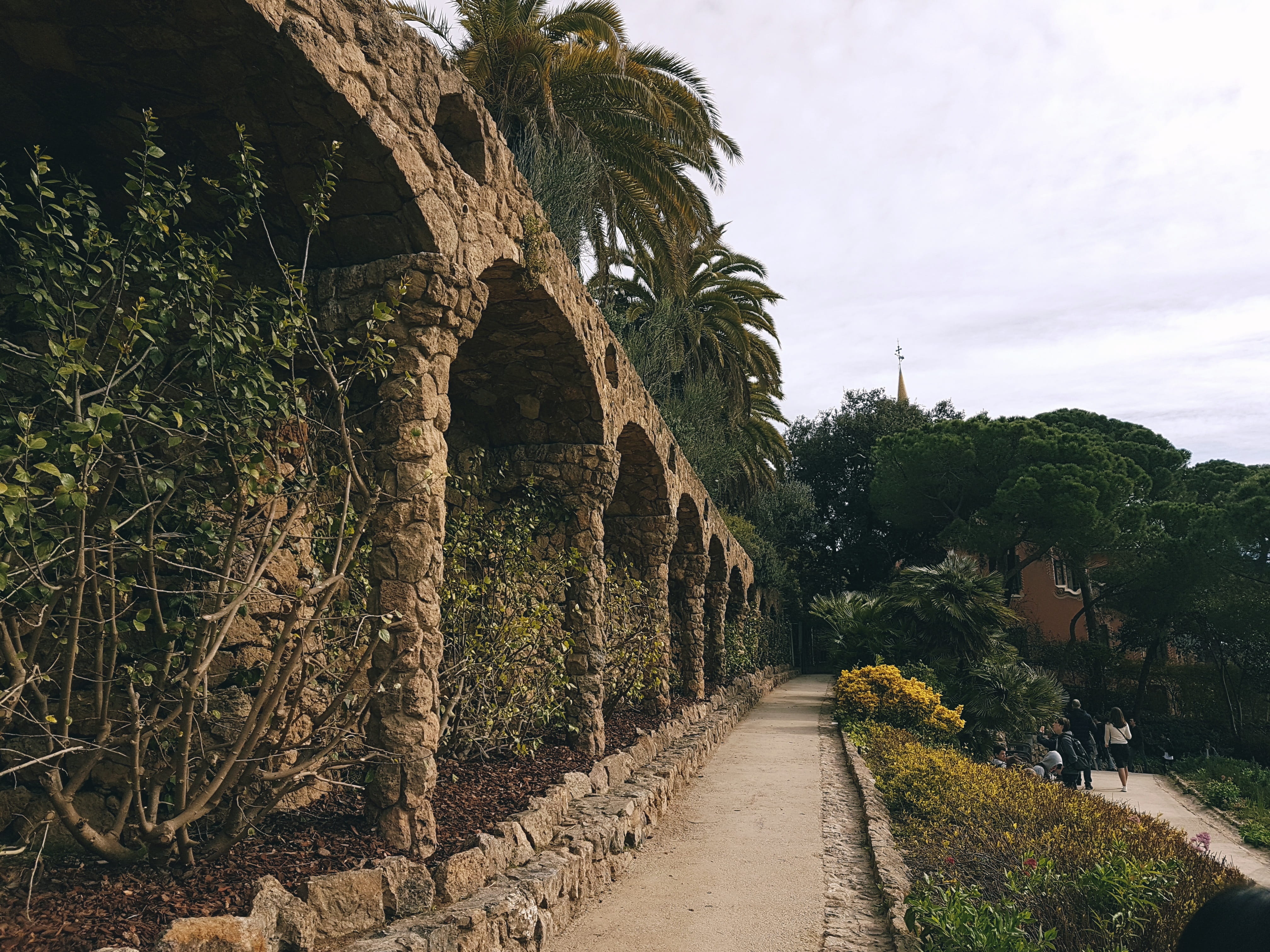 day, plant, spain, güell, 4K, road, nature, cloud - sky, built structure, palms, no people, arch, the way forward, transportation, sky, growth, direction, HD Wallpaper