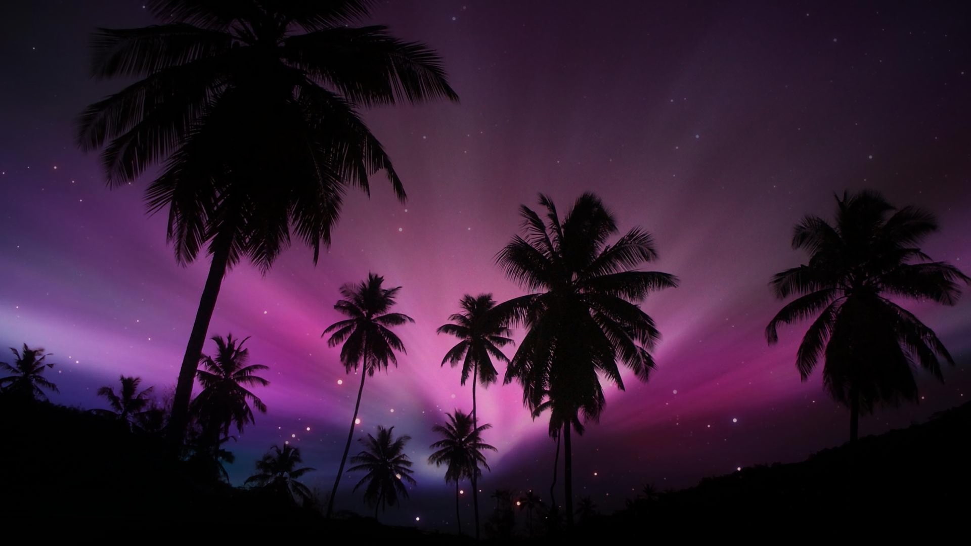 Earth, Purple, Sunset, Sky, 1080P, Tropical, Starry Sky, Silhouette, Palm Tree, HD Wallpaper