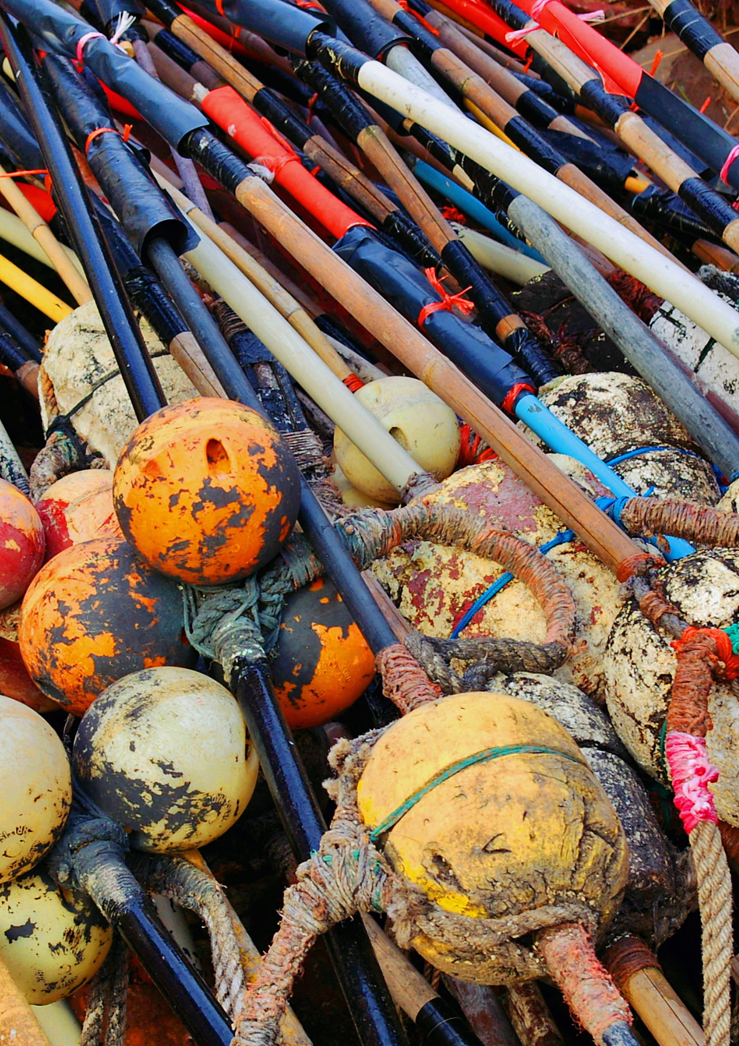 wood - material, watercraft, day, outdoors, high angle view, egg, nature, plant, abundance, market, maraca, full frame, food, multi colored, close-up, large group of objects, Phone HD Wallpaper