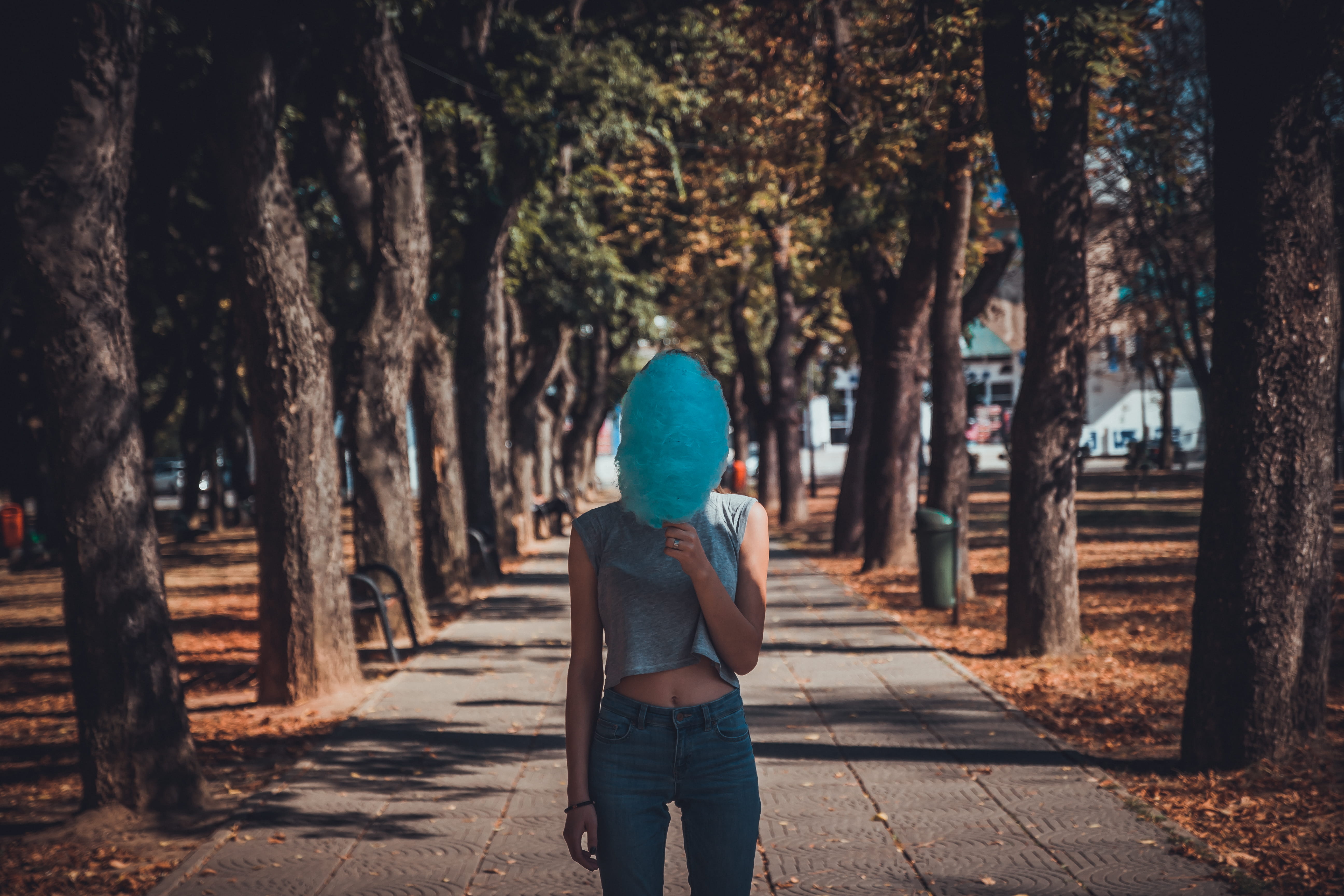 land, trees, wear, Cotton candy, leisure activity, daylight, nature, lifestyles, street, rear view, light, trunk, diminishing perspective, park, standing, HD Wallpaper