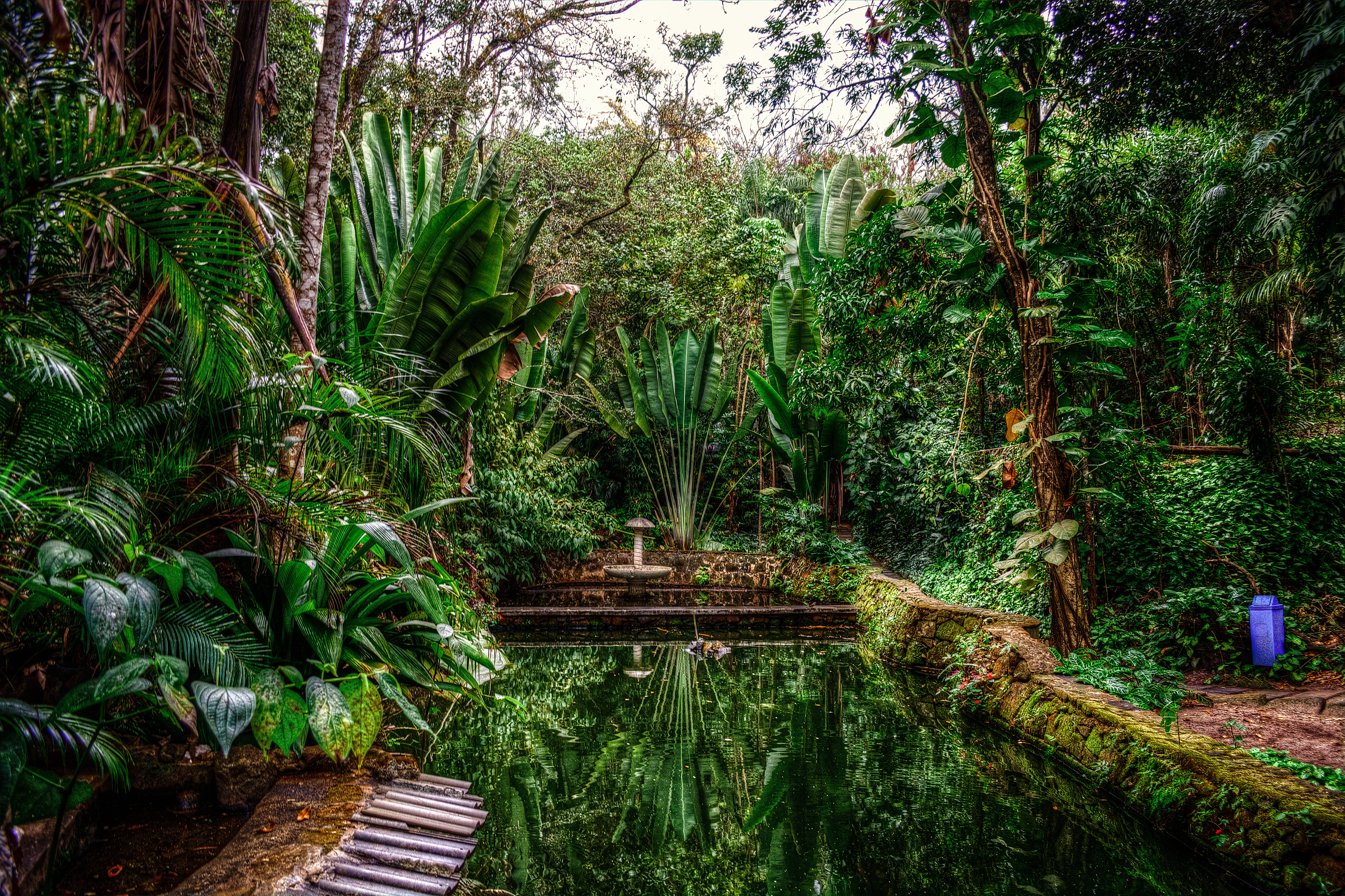 nature, scenics - nature, brazil, rainforest, bush, beauty In Nature, day, summer, garden, scenics, asia, park, water, tranquil scene, landscape, green, HD Wallpaper