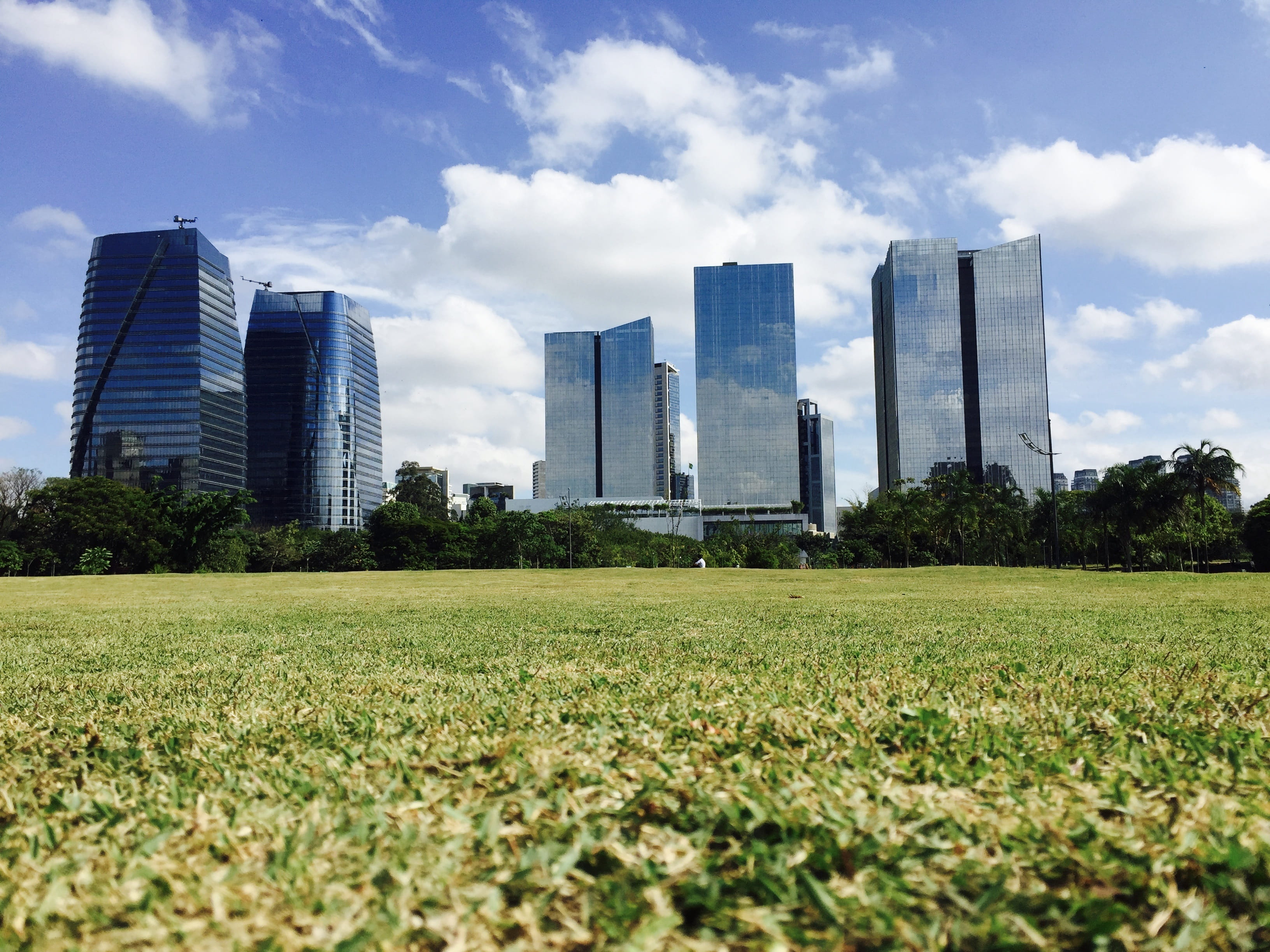 financial district, tall - high, Sampa, city, park, landscape, 2K, Brazil, office, nature, built structure, outdoors, PeopleS Park, plant, modern, no people, HD Wallpaper