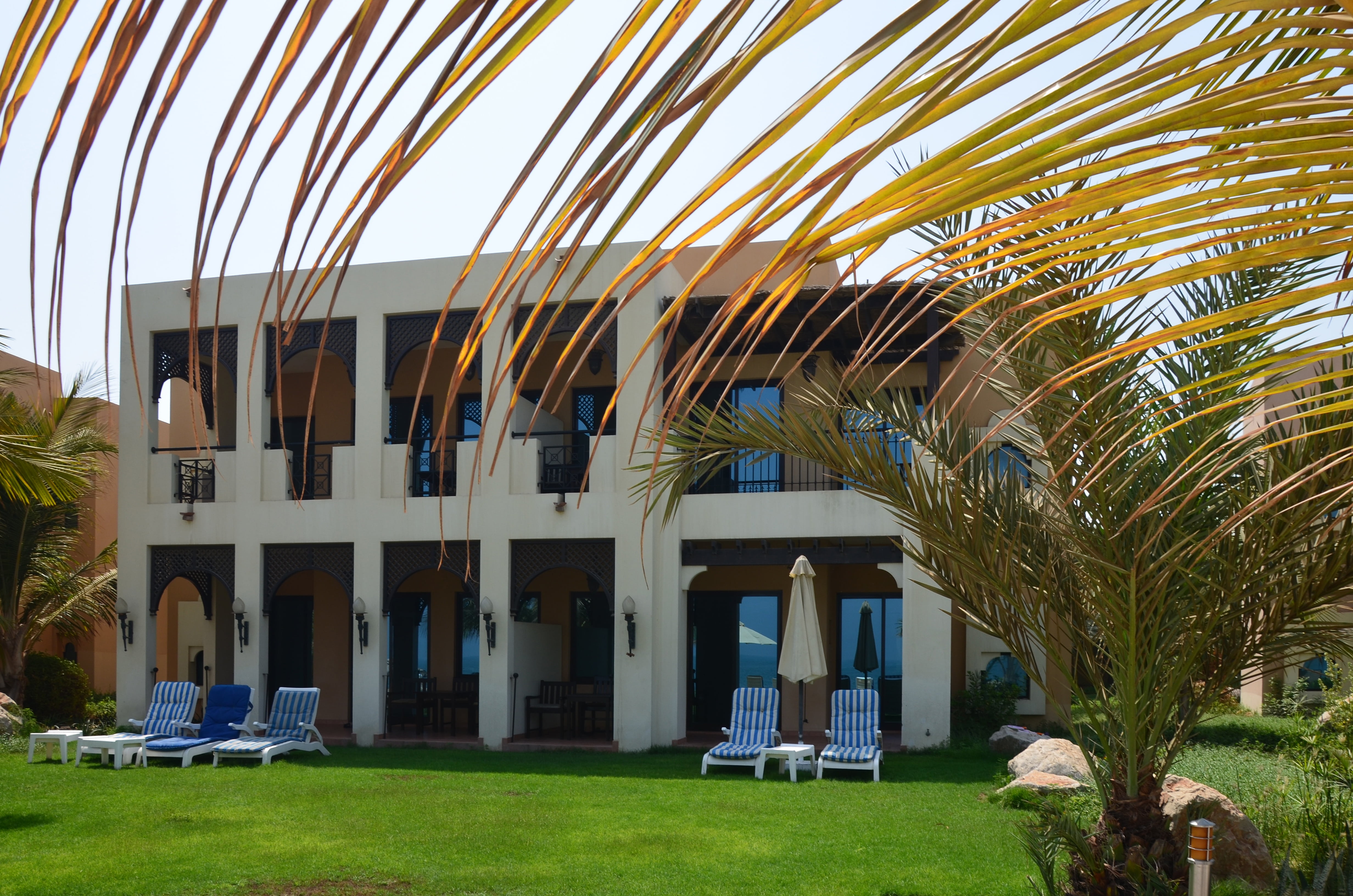 tourist resort, tourism, sunlight, building exterior, pool, tree, growth, lawn, modern, tropical climate, ras al khaimah, no people, palm tree, relaxation, HD Wallpaper