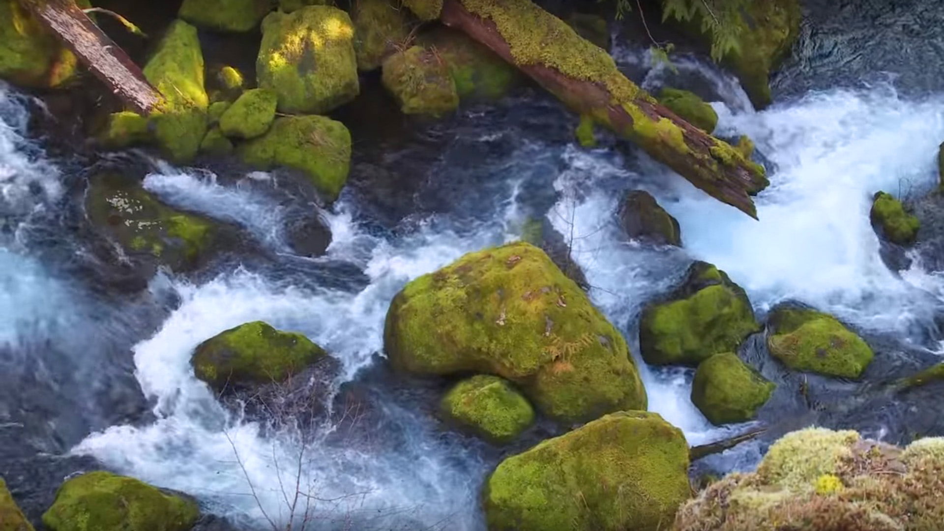 full, 1080P, tamolitch, screen, blue, aka, mckenzie, pool, oregon, river, hd, desktop, HD Wallpaper